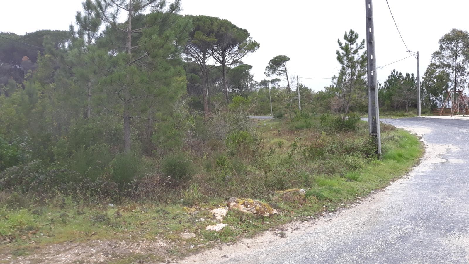 Terreno · Leiria — imagen 3