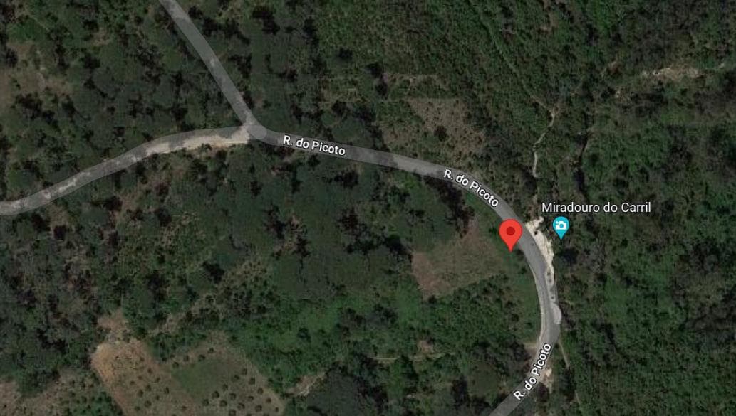 Terreno · Leiria — imagen 9
