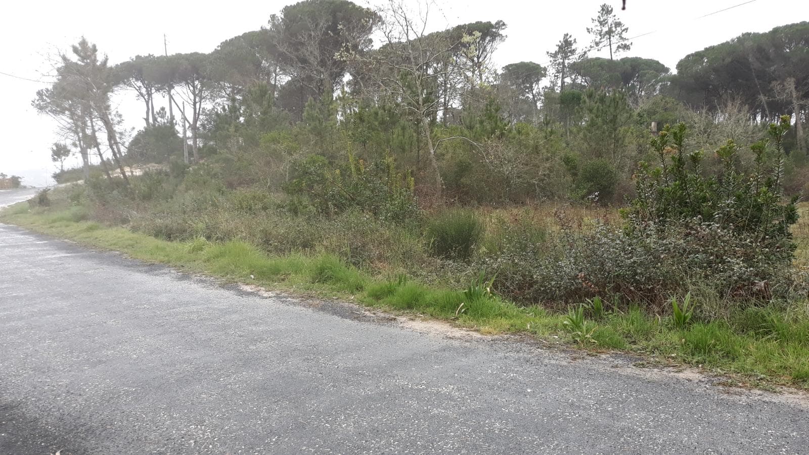 Terreno · Leiria — imagen 4