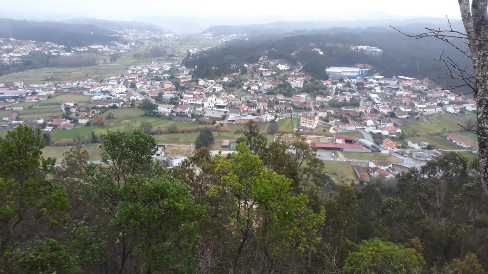 Terreno · Leiria — imagen 5