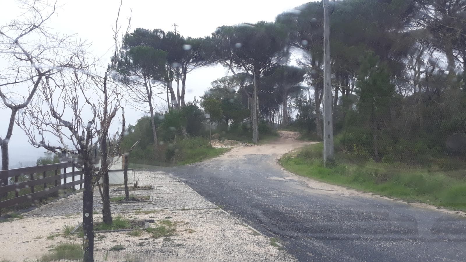 Terreno · Leiria — imagen 7