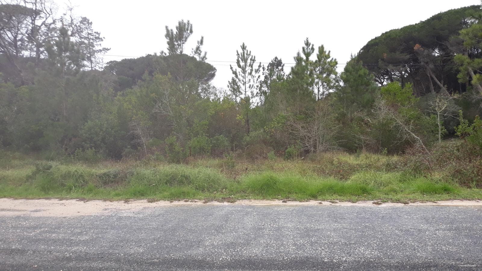 Terreno · Leiria — imagen 2