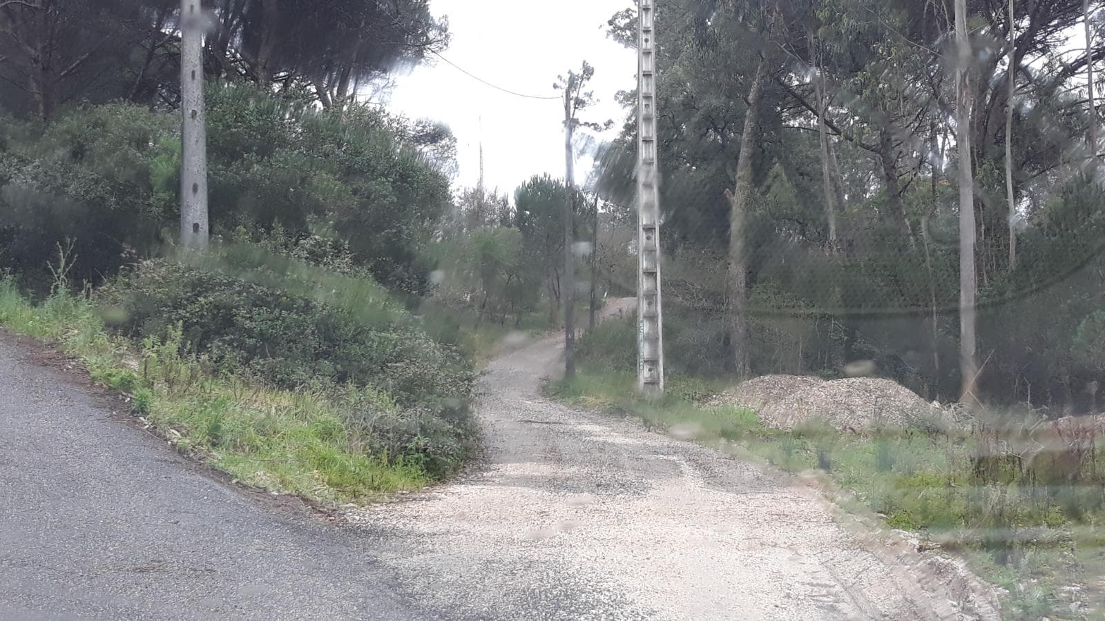 Terreno · Leiria — image 7
