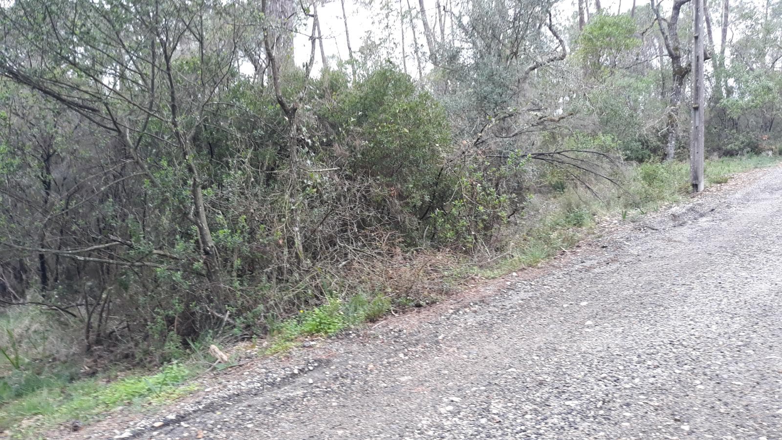 Terreno · Leiria — image 6