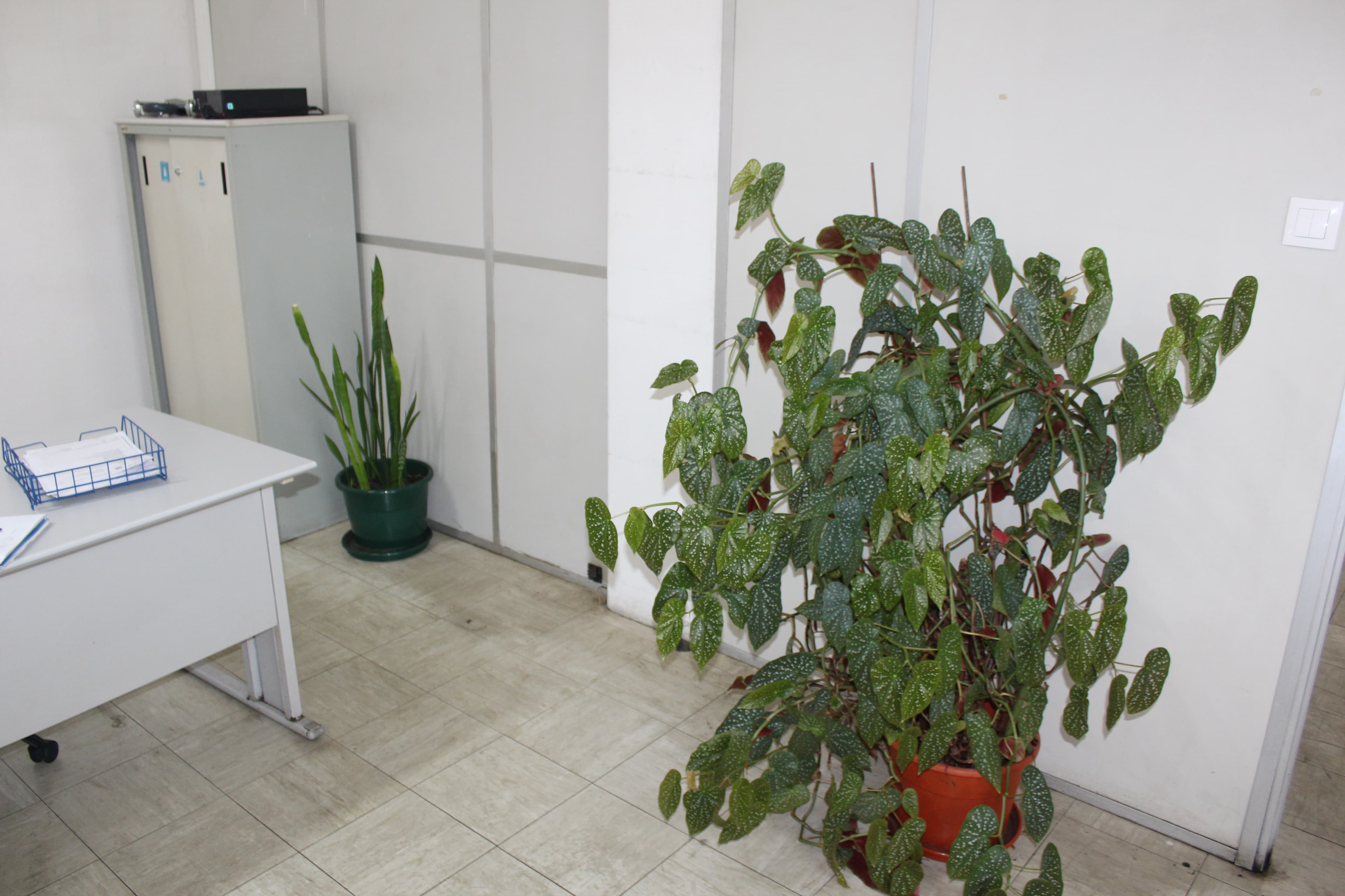 Equipamento de Escritório · Gabinete Médico · Balneário · Diversos — image 34