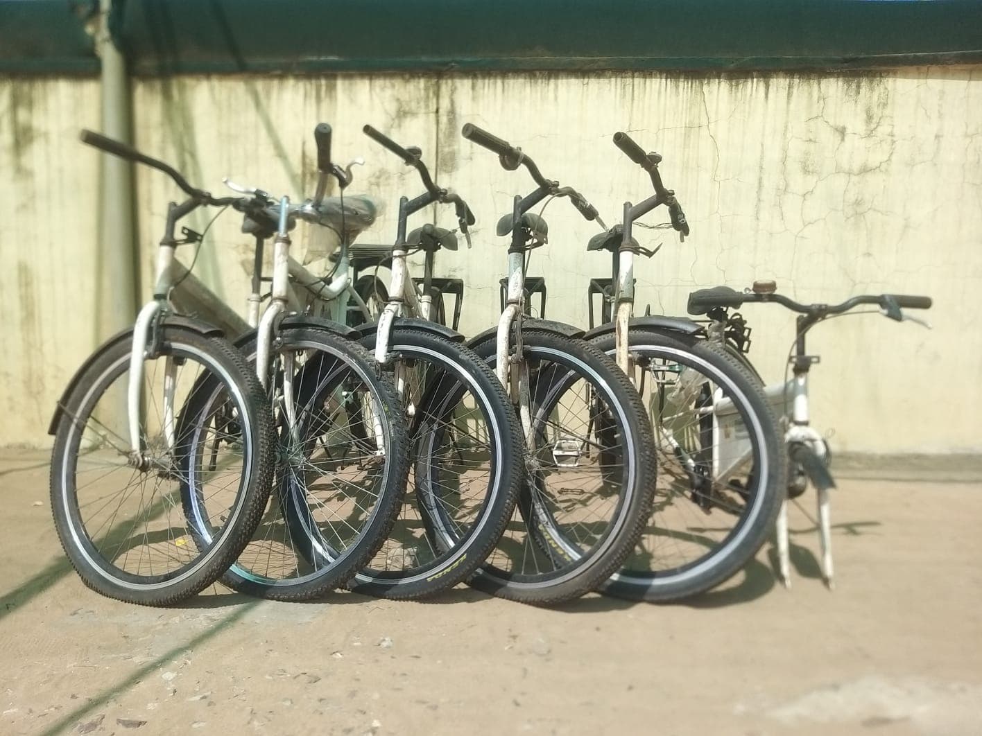 Bicicletas — imagem 3
