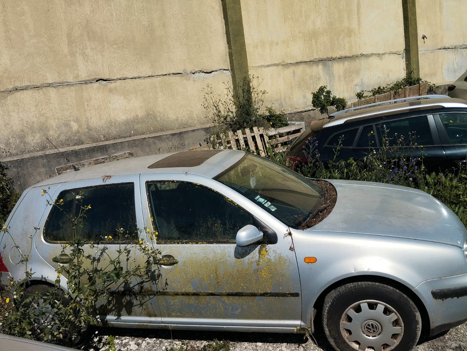 Volkswagen Golf · Ano 1998 — imagem 4