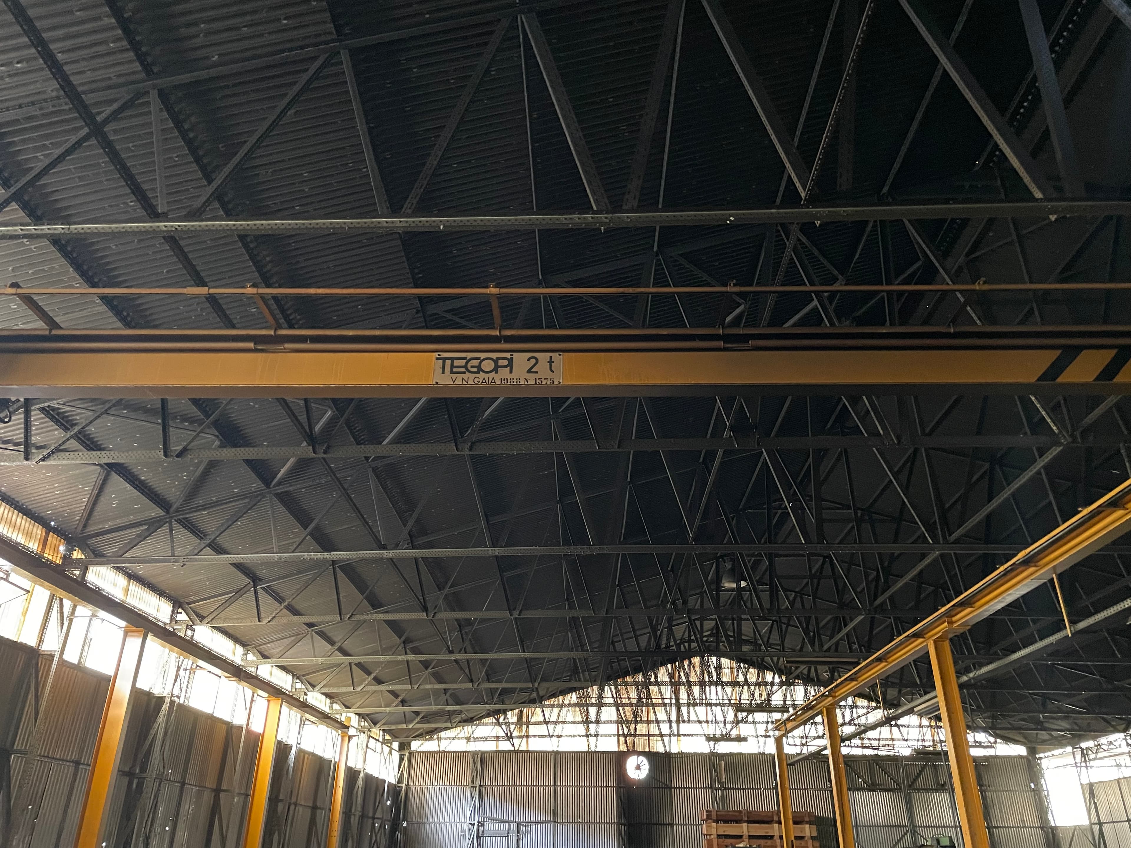 Ponte Rolante Tegopi 2T — imagen 2