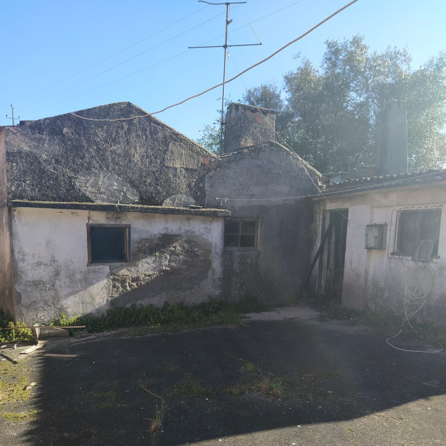 Moradia p/ restauro com logradouro · Vagos, Aveiro — imagen 6