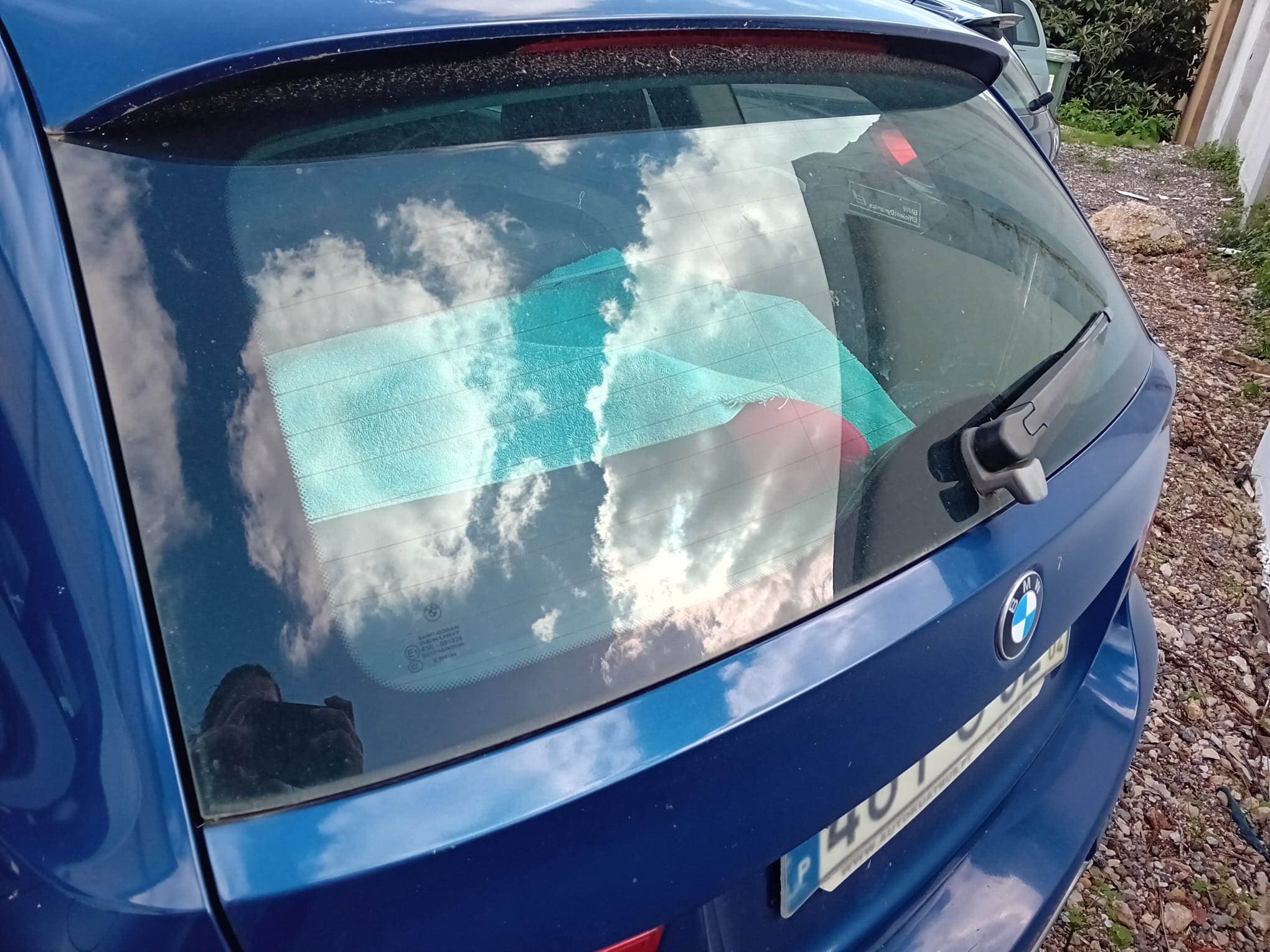 BMW 318D · Ano 2010 — imagem 6