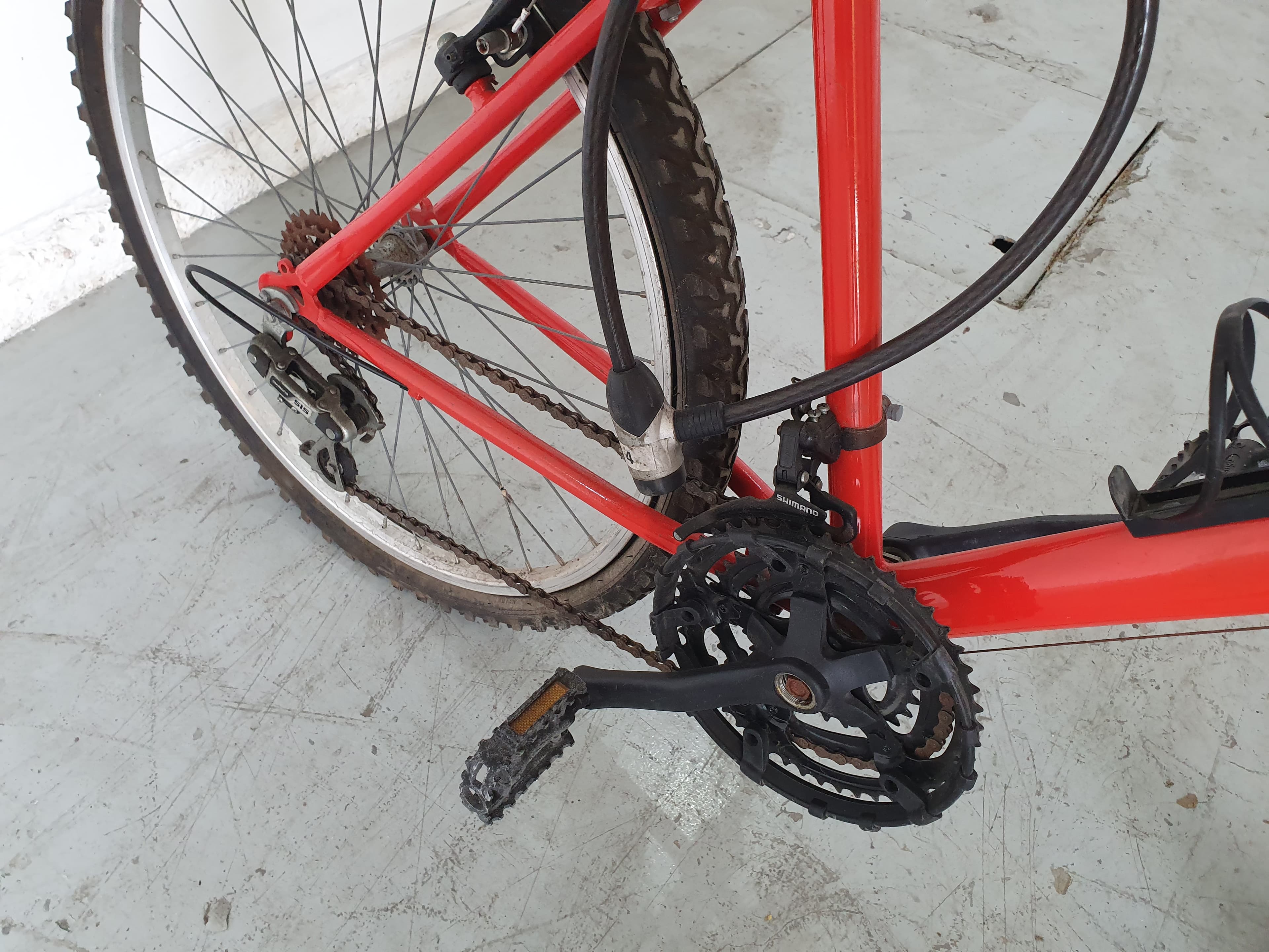 Bicicleta Órbita — imagen 9
