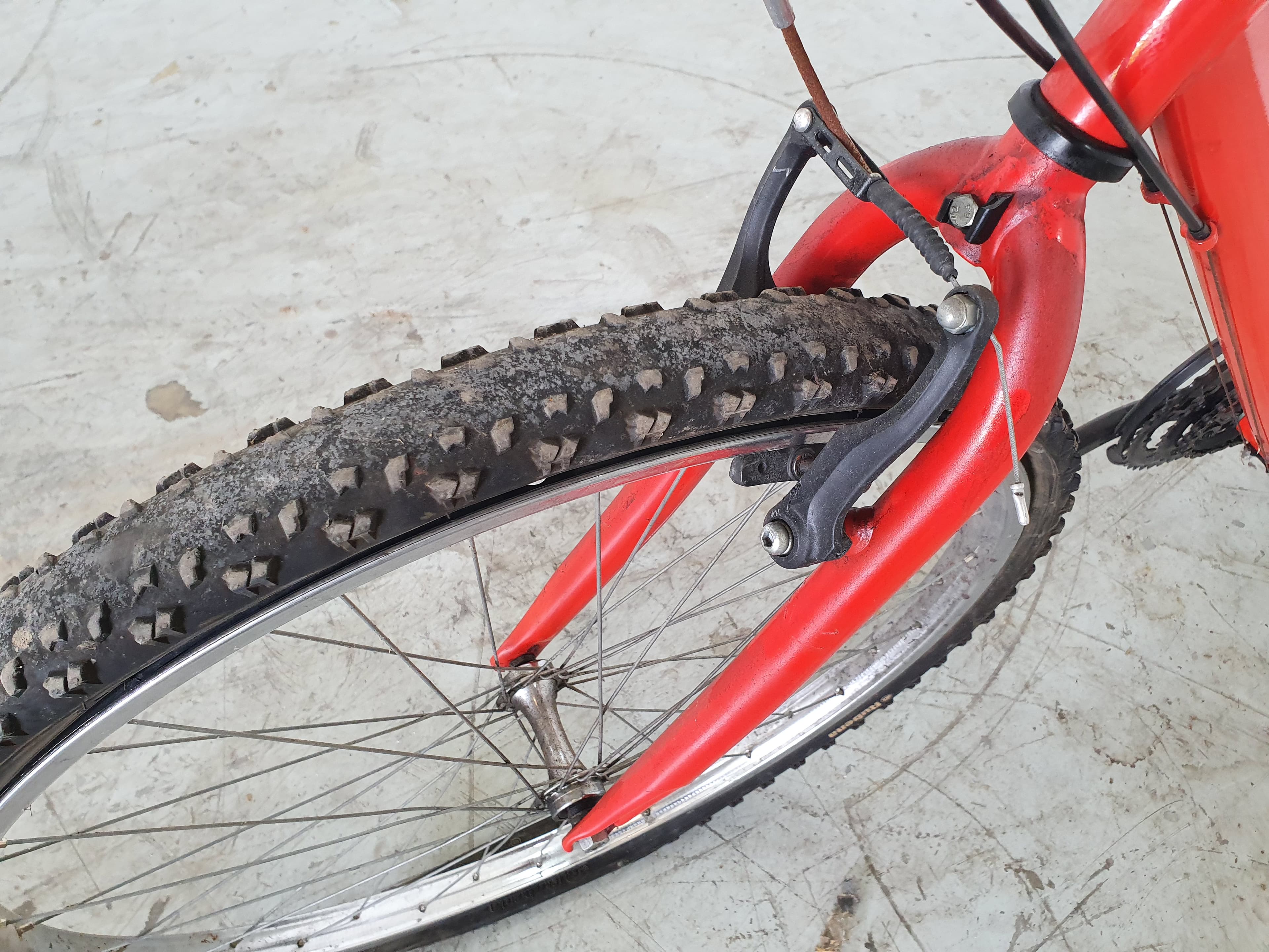 Bicicleta Órbita — imagen 5