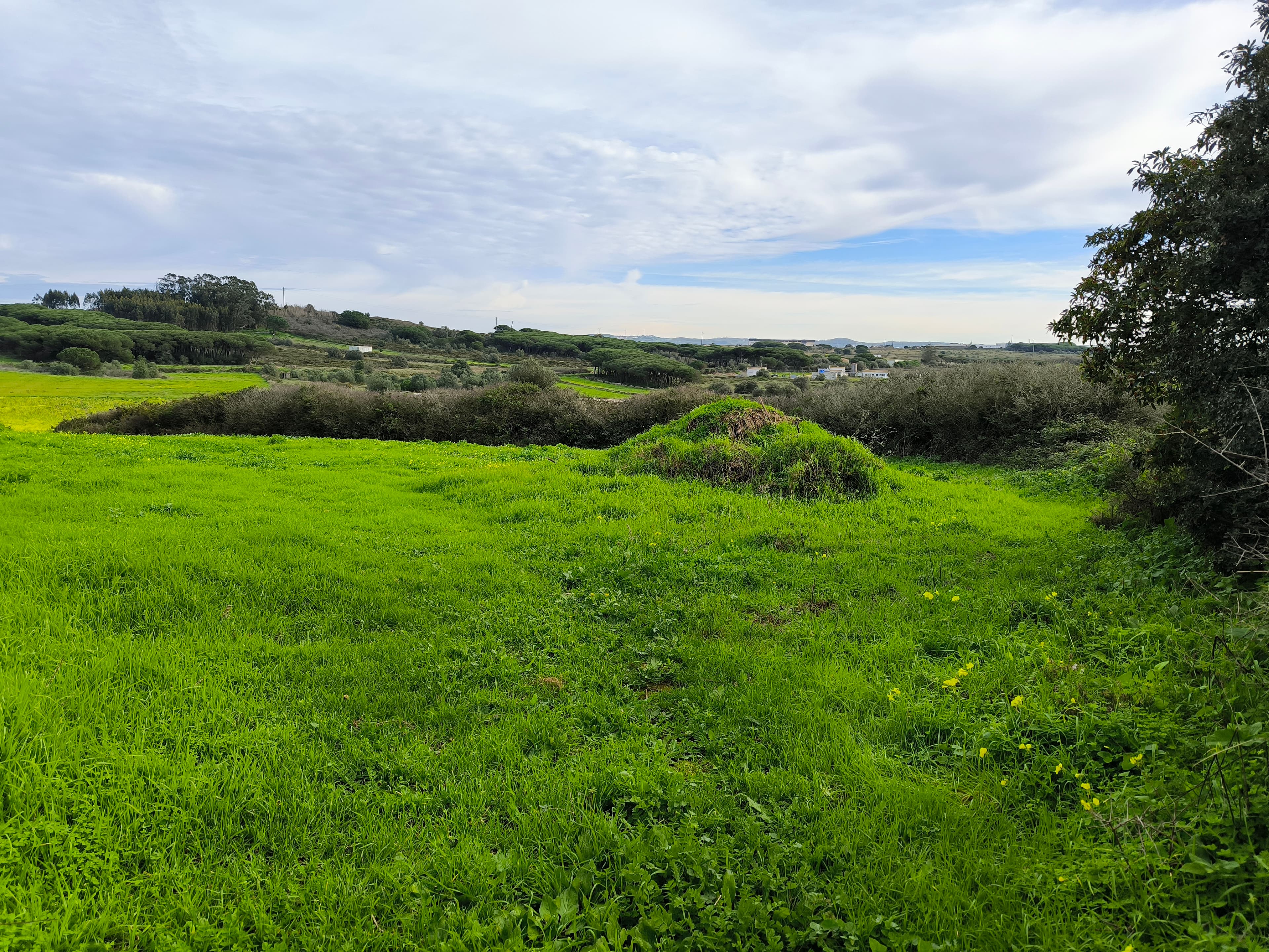 Terreno · Sintra — imagem 5