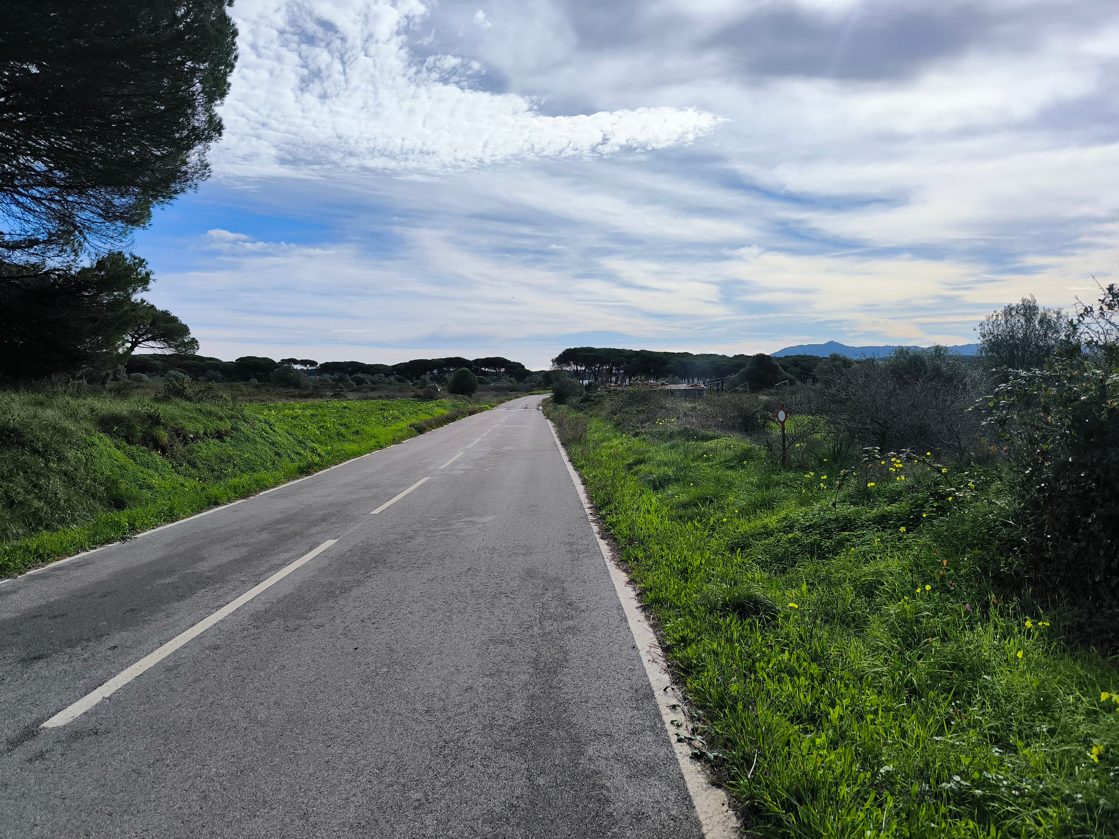 Terreno · Sintra — imagem 8