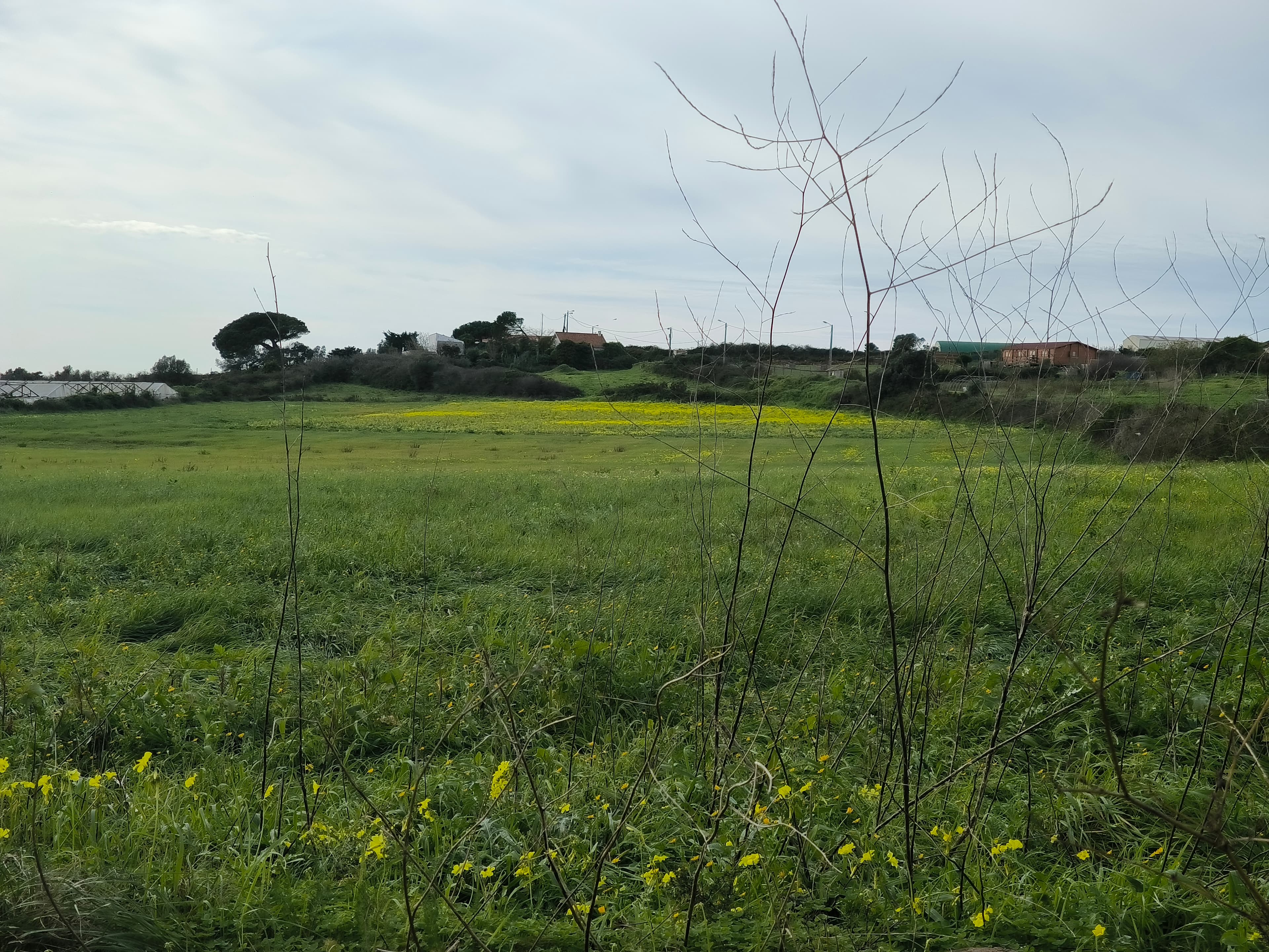 Terreno · Sintra — imagem 4