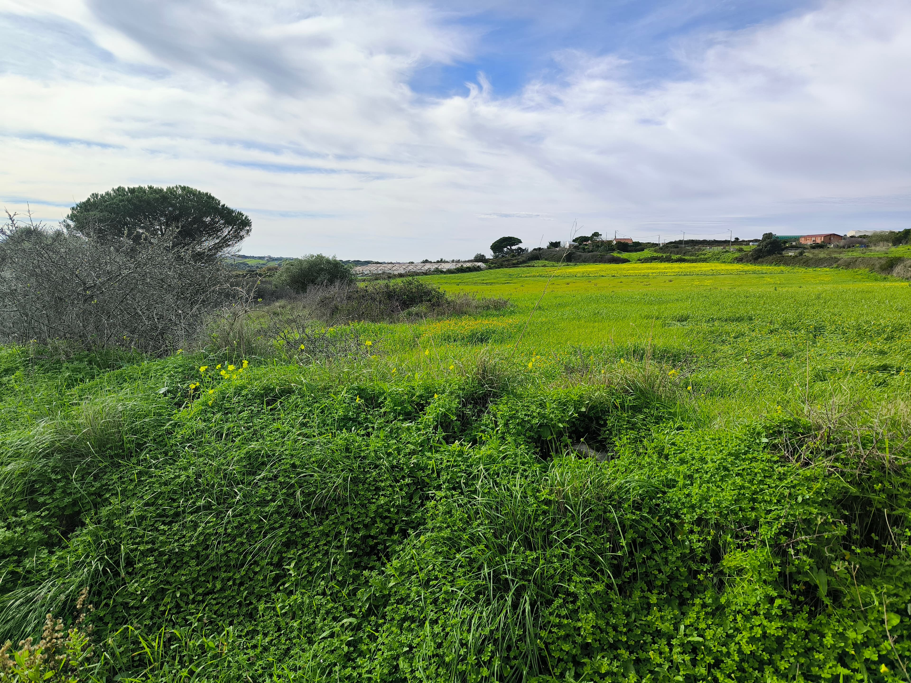 Terreno · Sintra — imagem 3