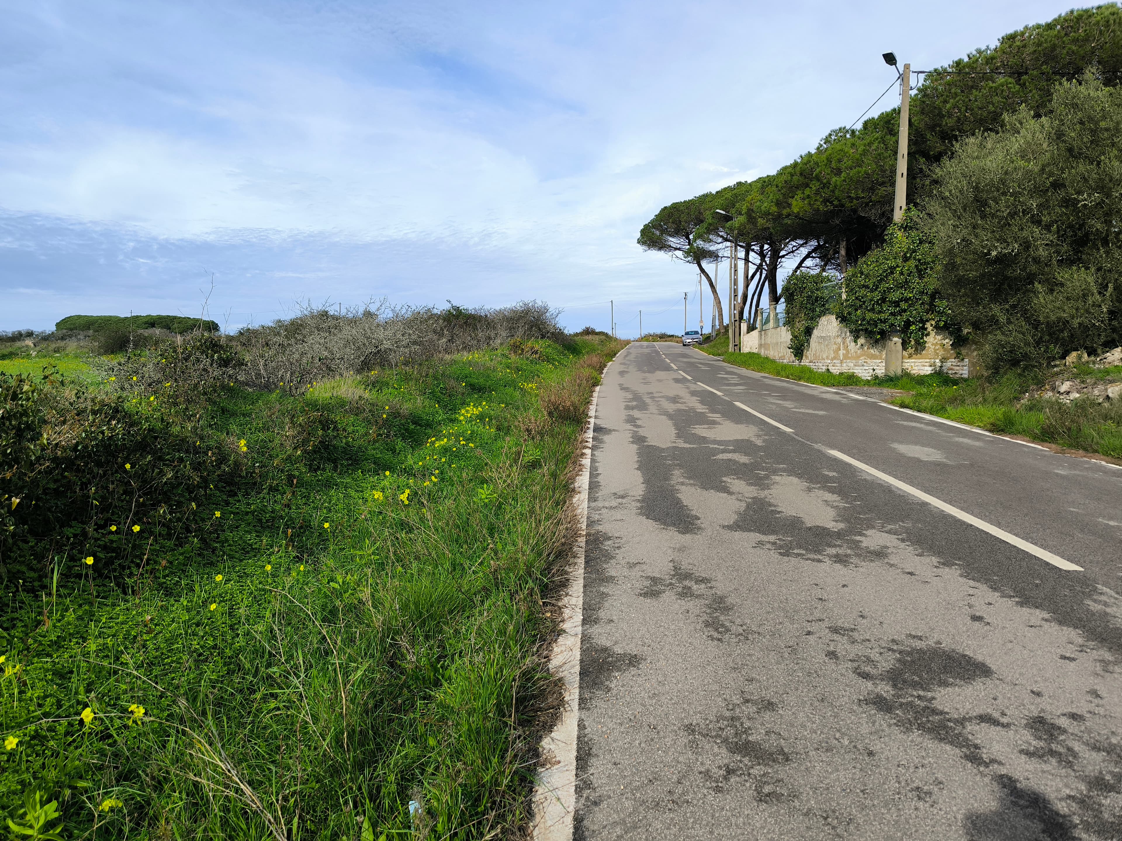 Terreno · Sintra — imagem 7