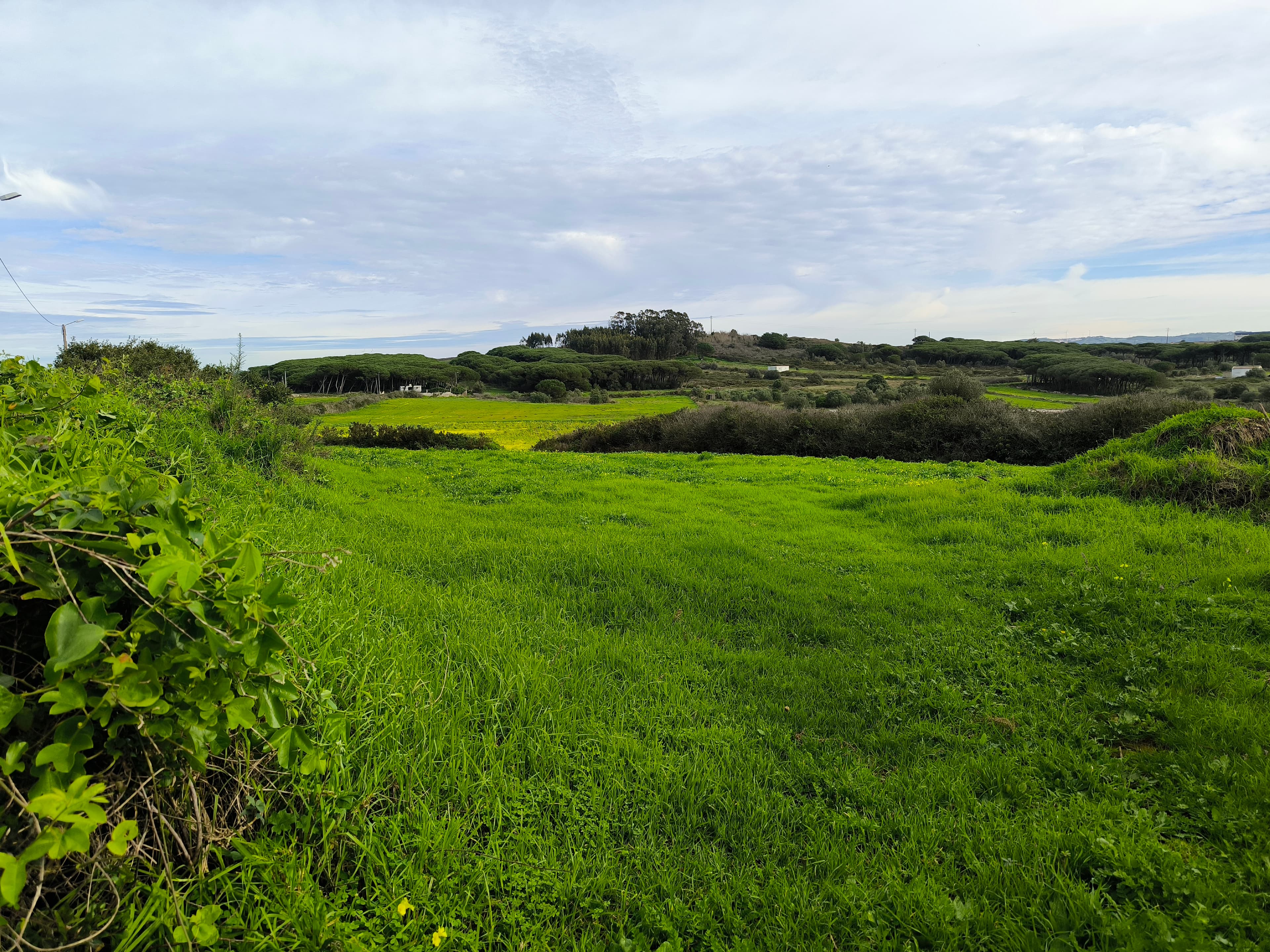 Terreno · Sintra — imagem 6