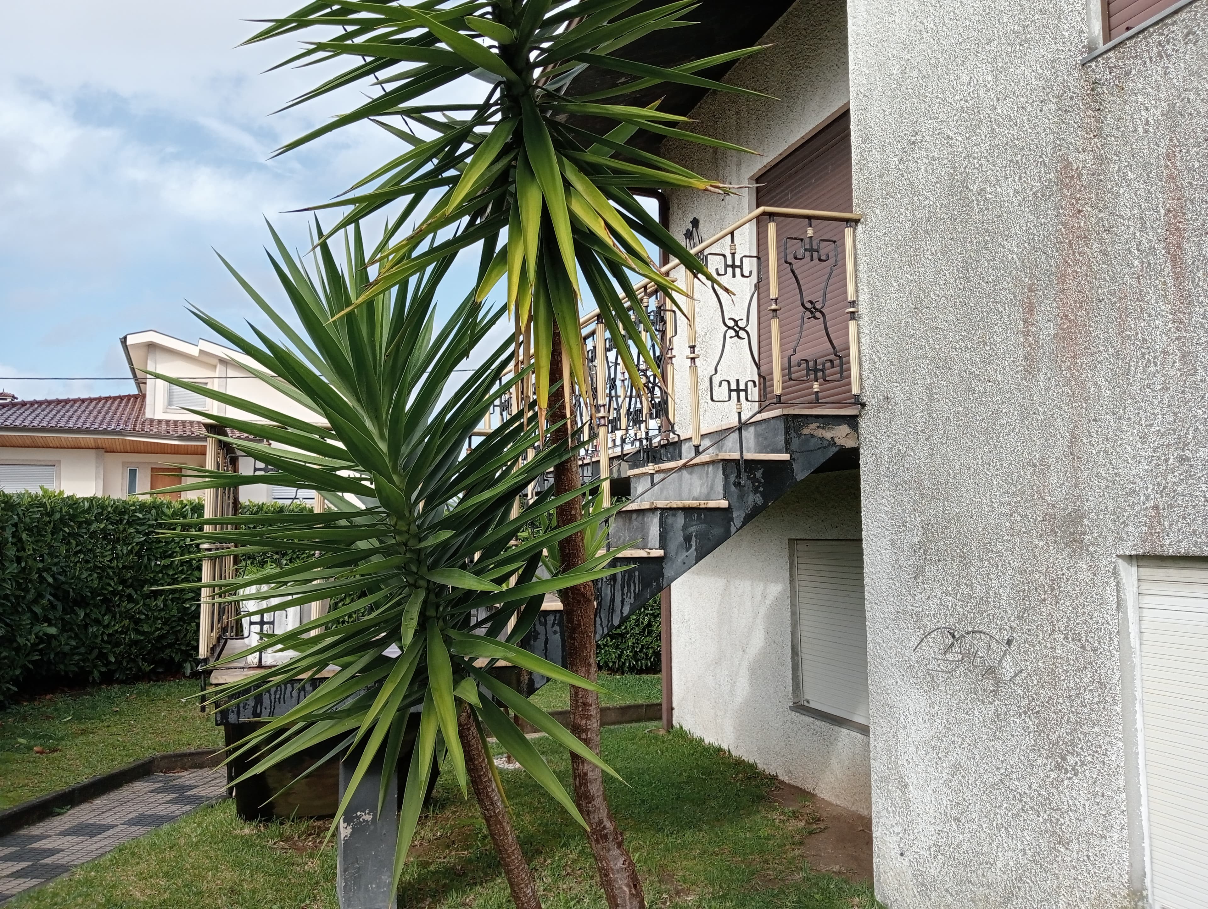Moradia V3 · Vila Nova de Famalicão — imagem 4