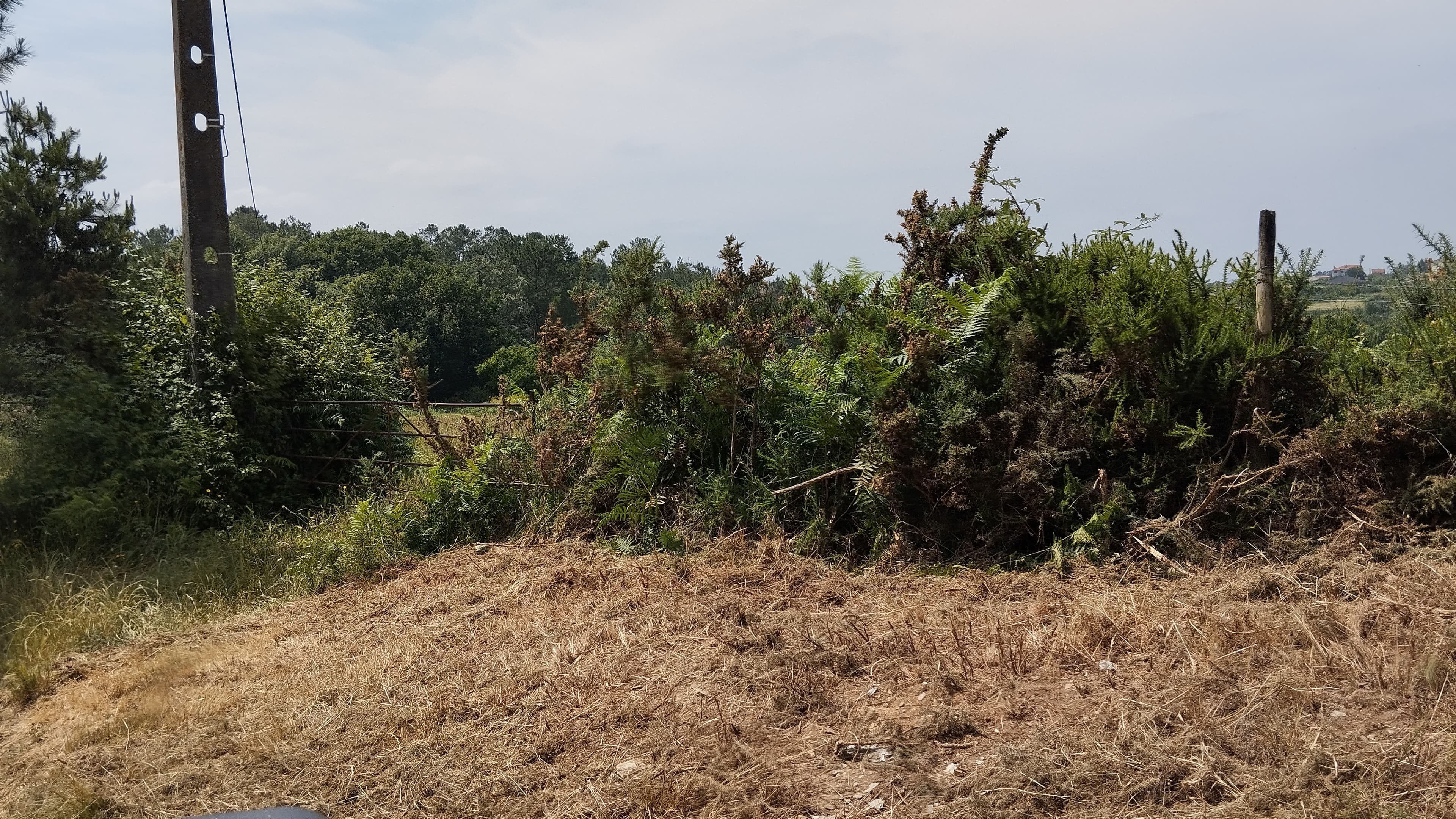 Terreno · Seia — imagen 3