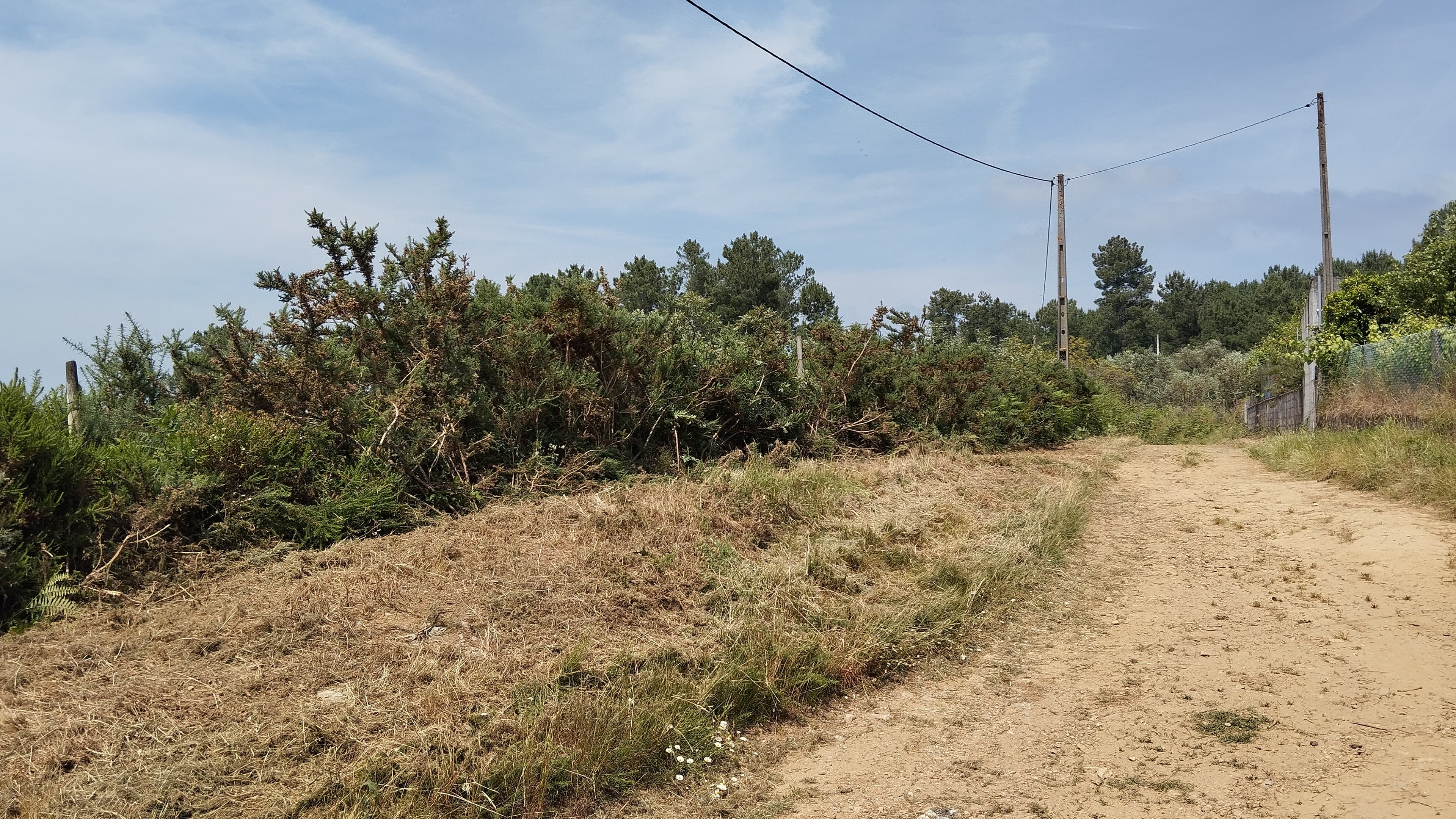 Terreno · Seia — imagen 2