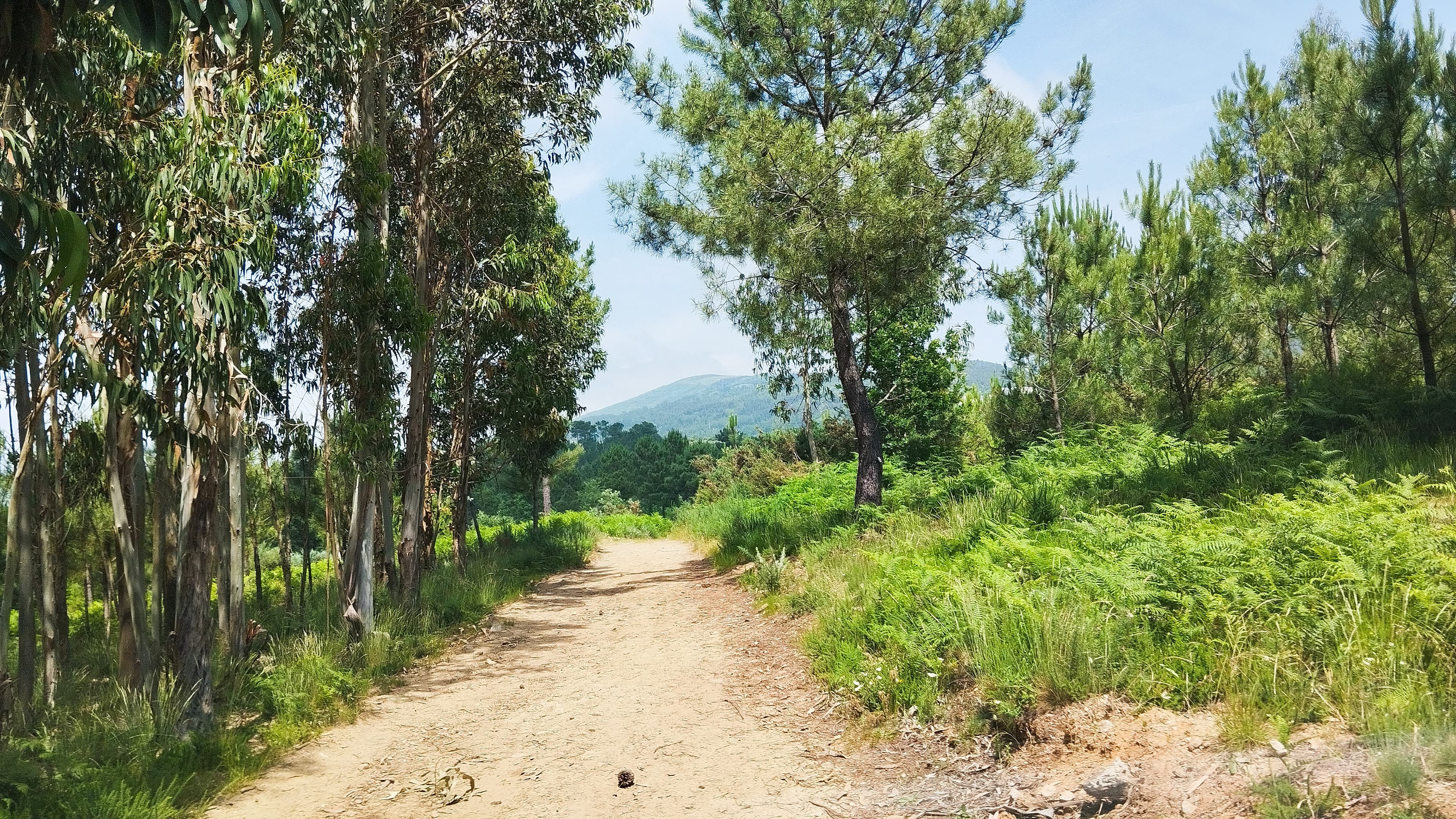 Land · Seia — image 1