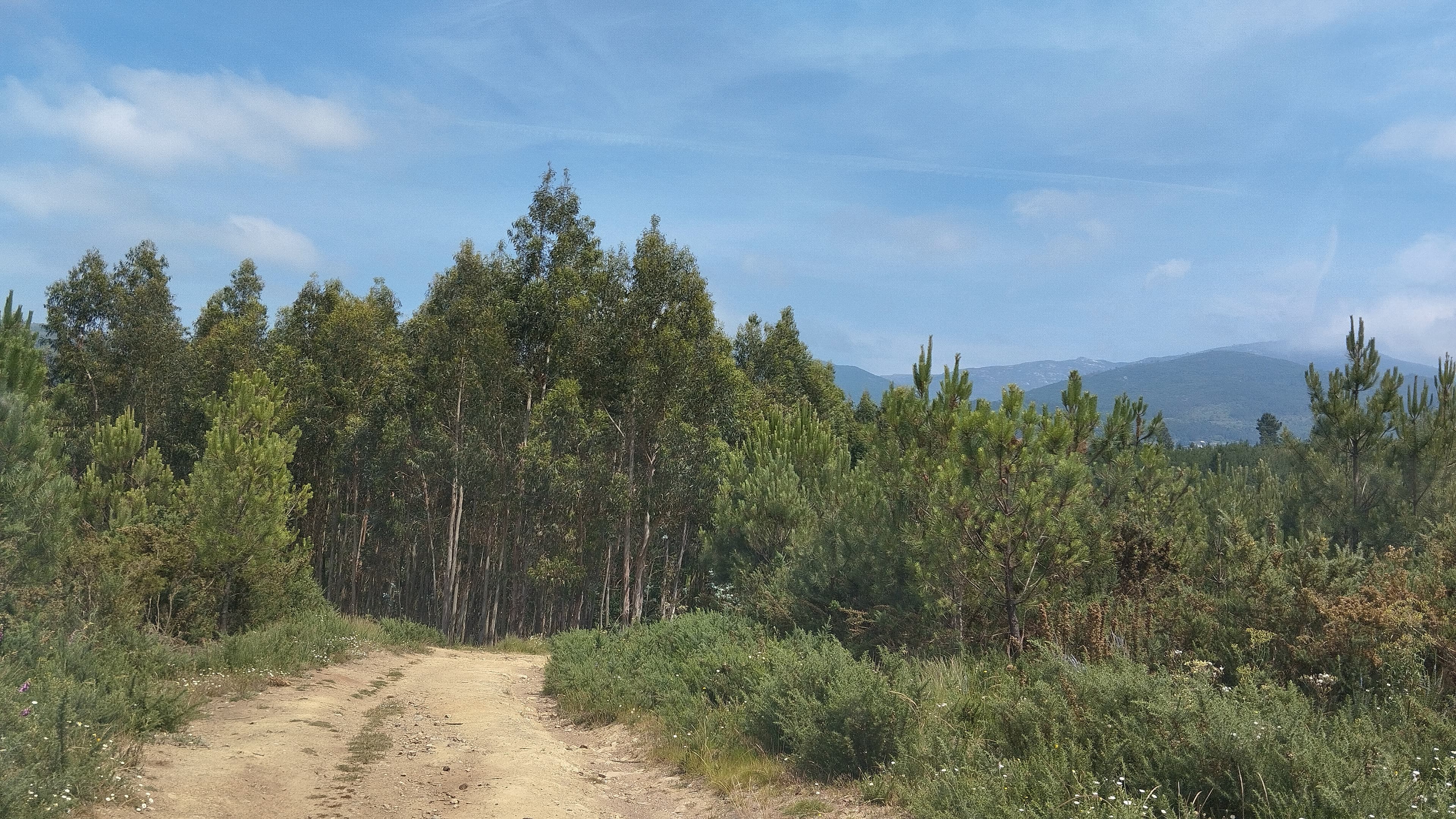 Land · Seia — image 8