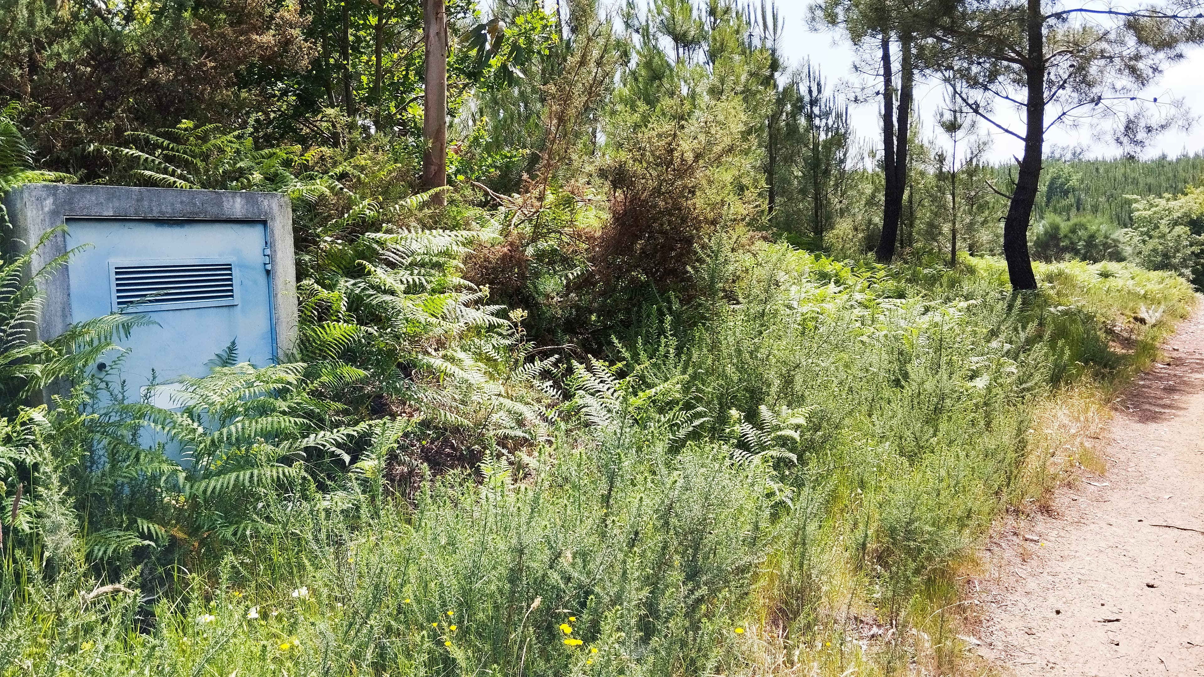Land · Seia — image 2