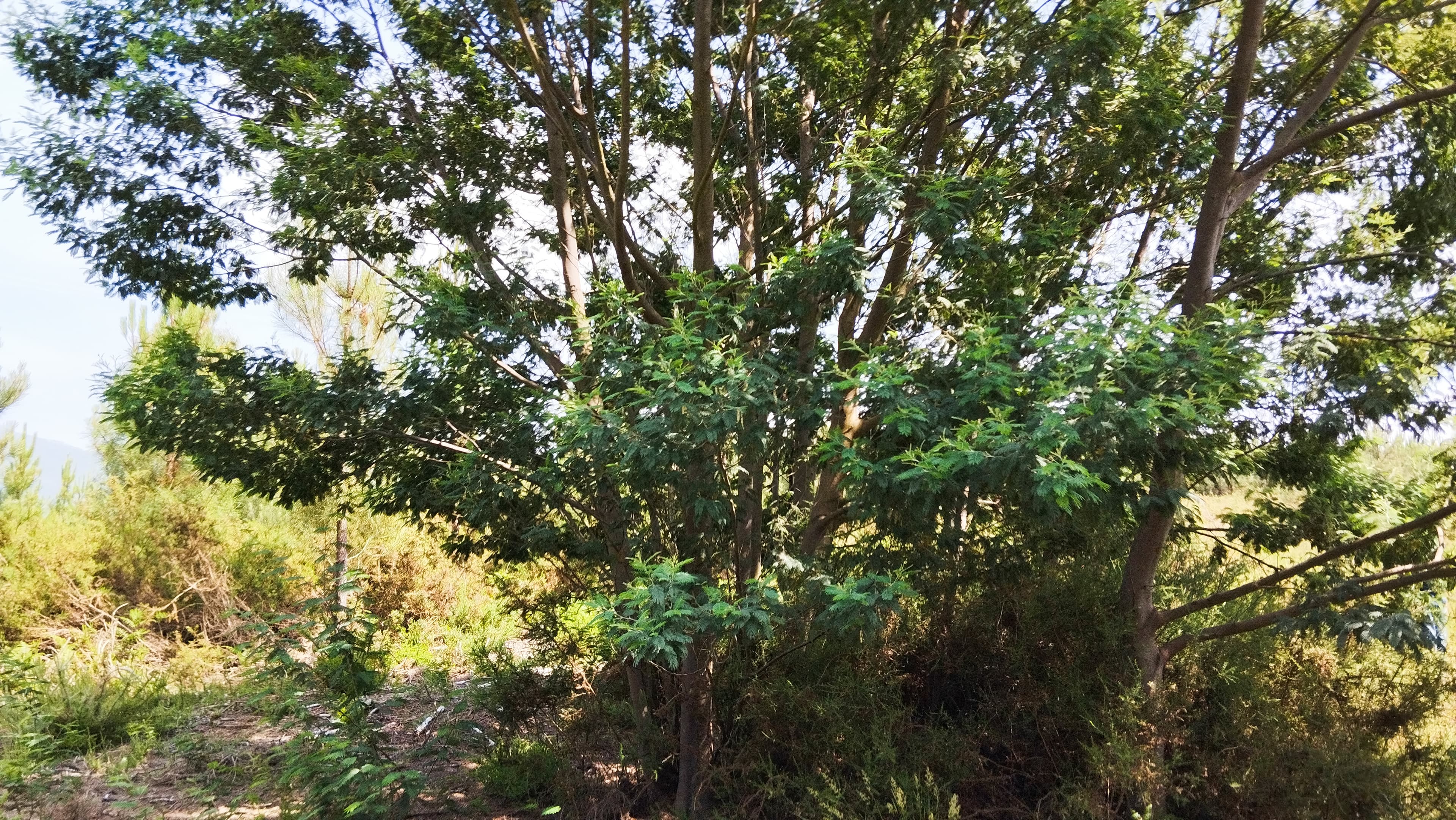 Land · Seia — image 5