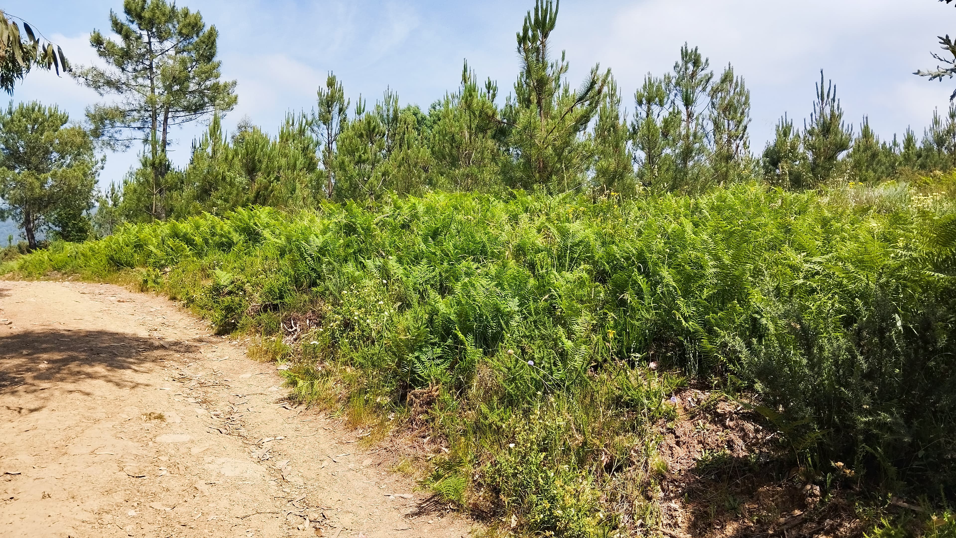 Land · Seia — image 6