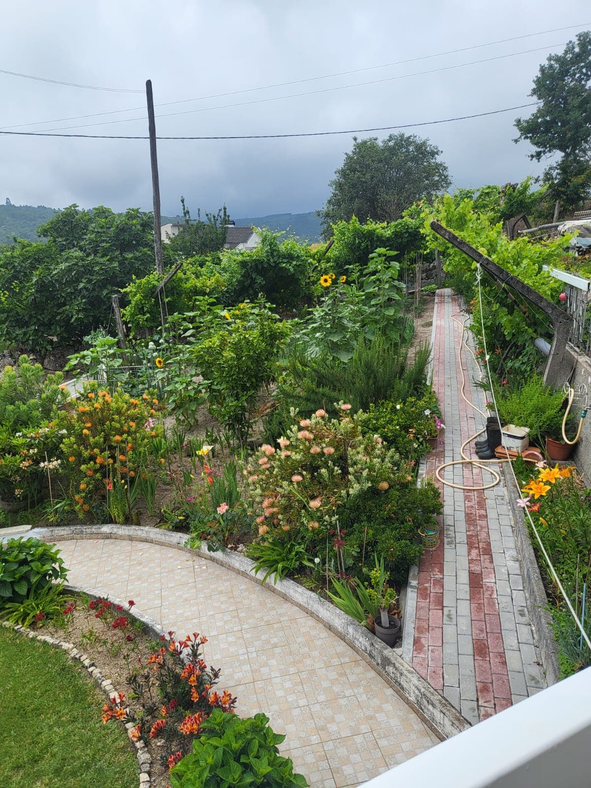 Moradia c/ Terreno · Gove, Baião — imagem 13