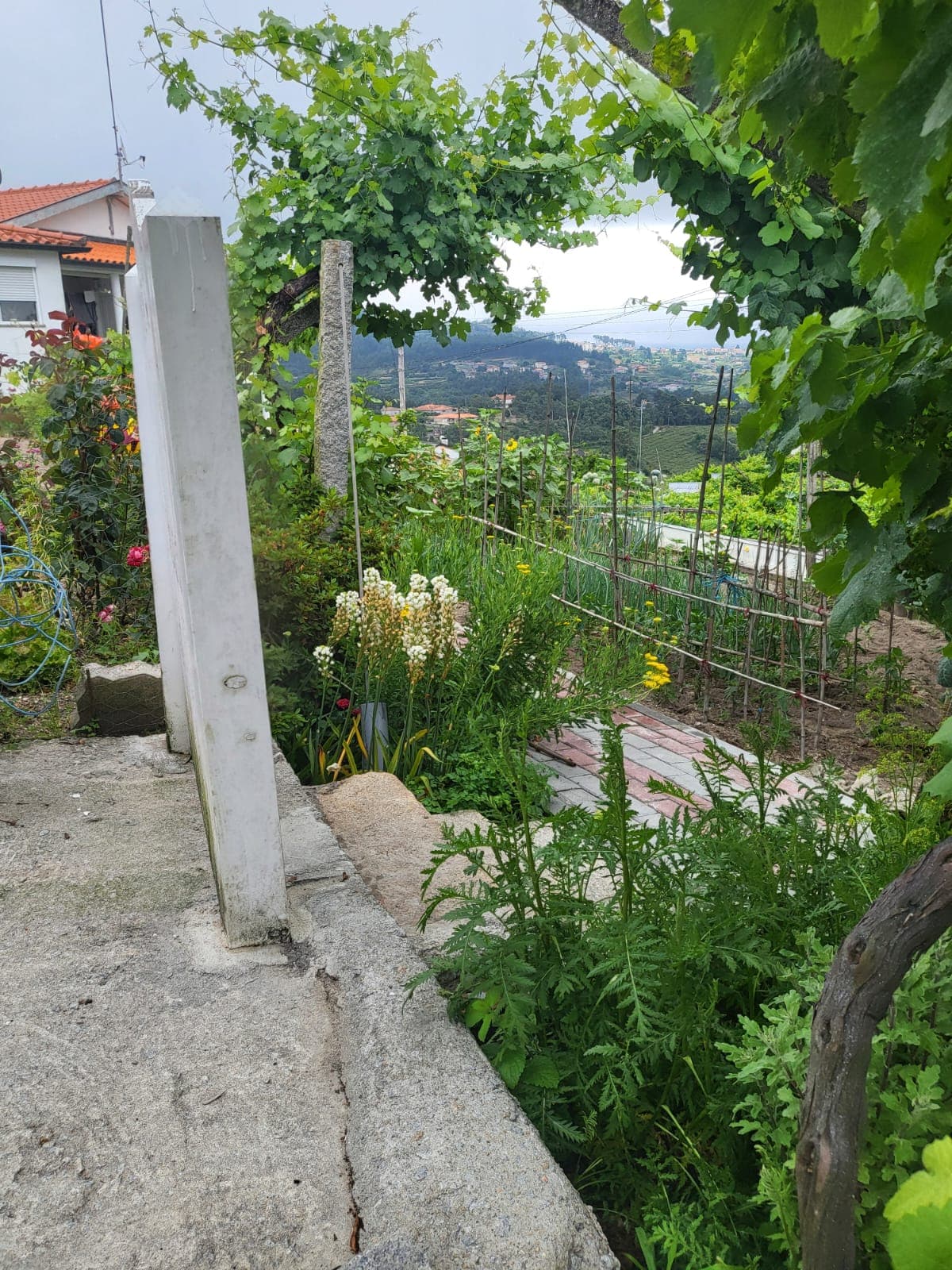 Moradia c/ Terreno · Gove, Baião — imagem 8