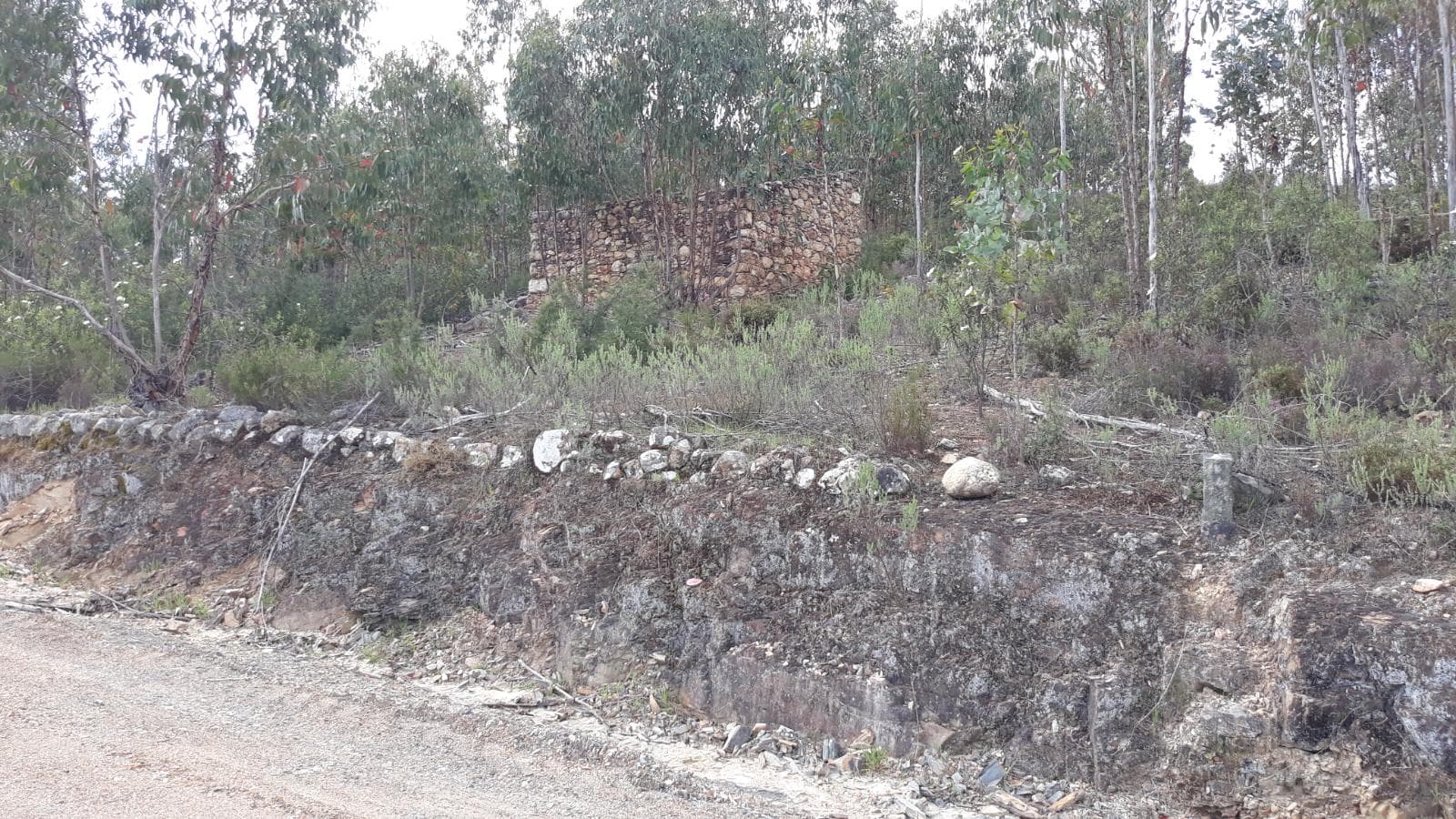Imóveis · Mação, Santarém — image 53