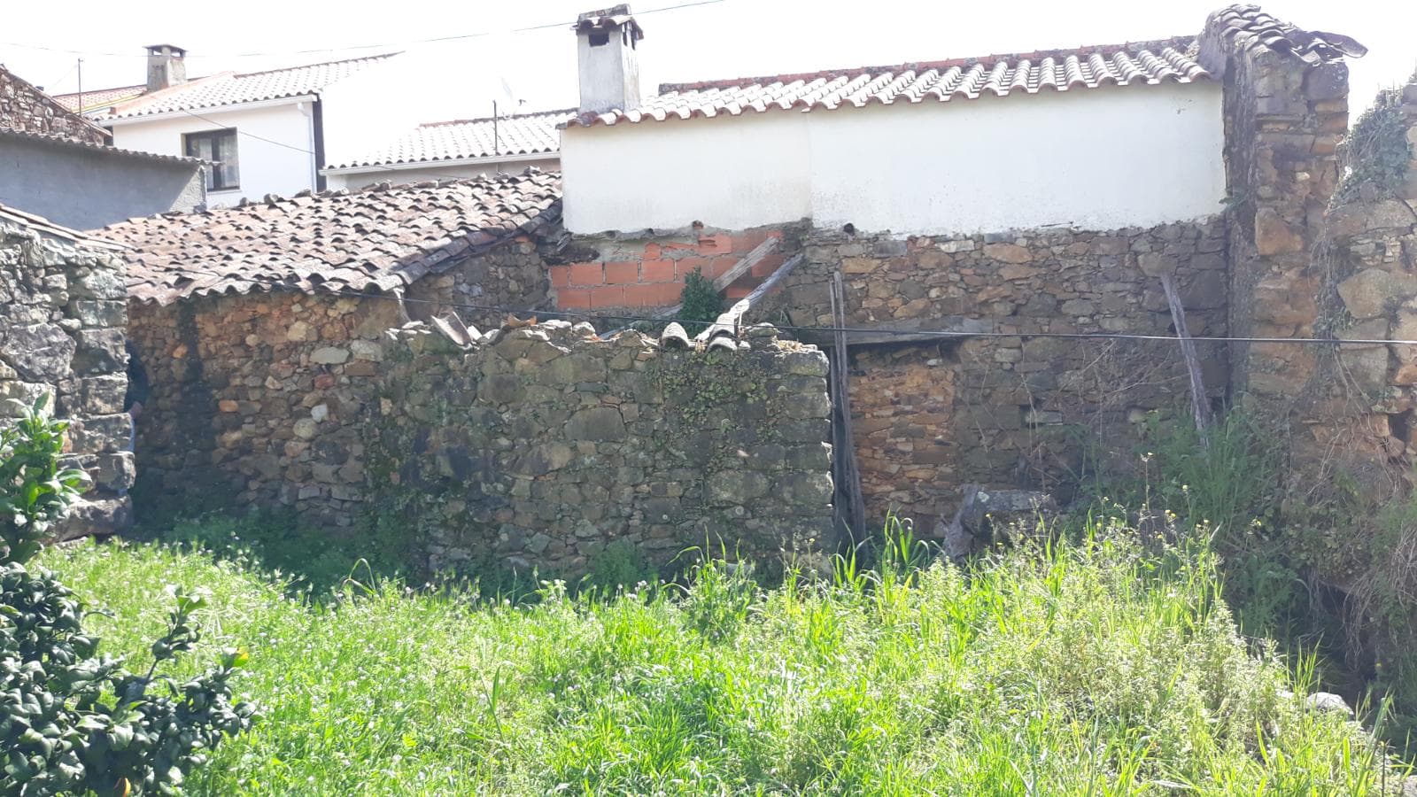 Imóveis · Mação, Santarém — image 11