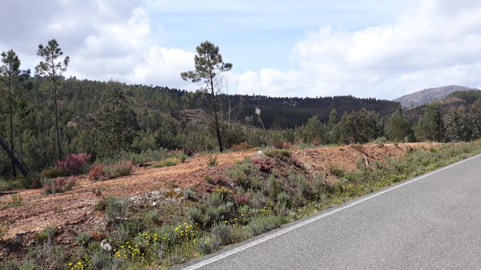 Imóveis · Mação, Santarém — image 27