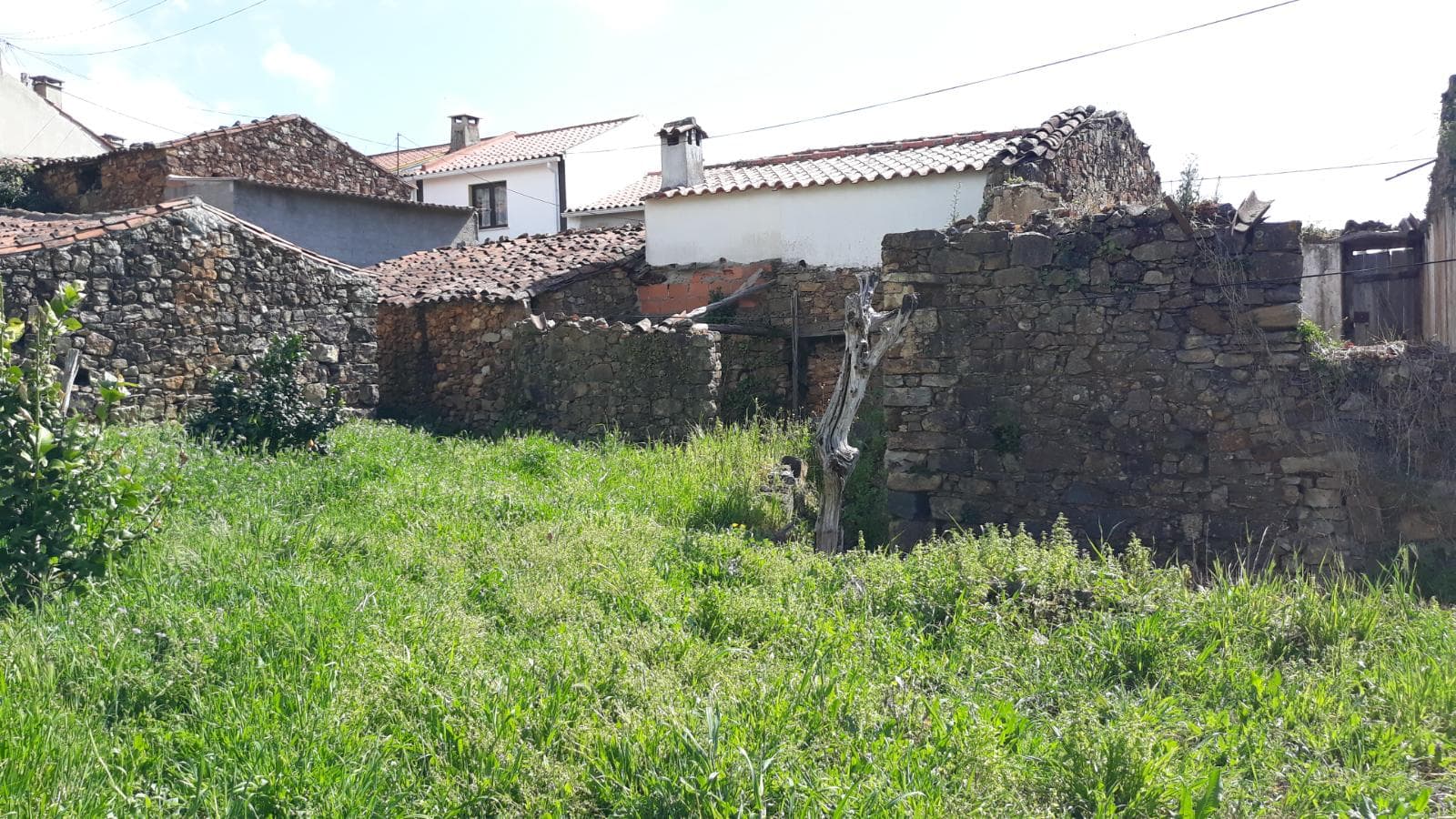 Imóveis · Mação, Santarém — image 6