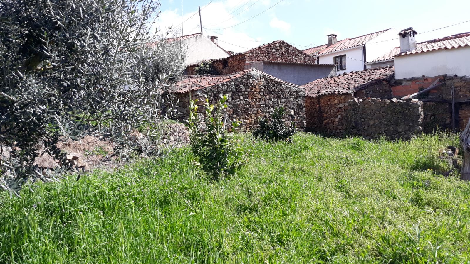 Imóveis · Mação, Santarém — image 12