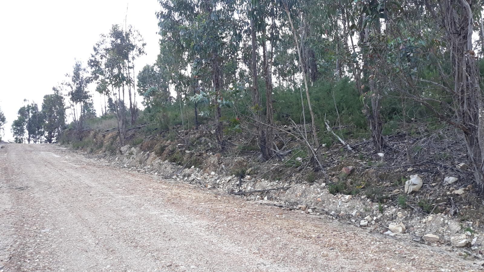 Imóveis · Mação, Santarém — image 65