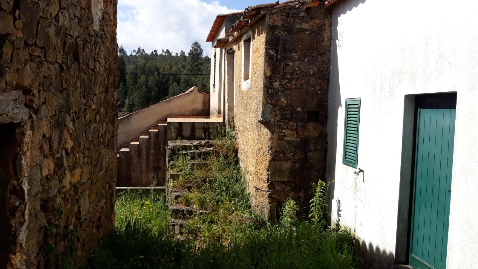 Imóveis · Mação, Santarém — image 17