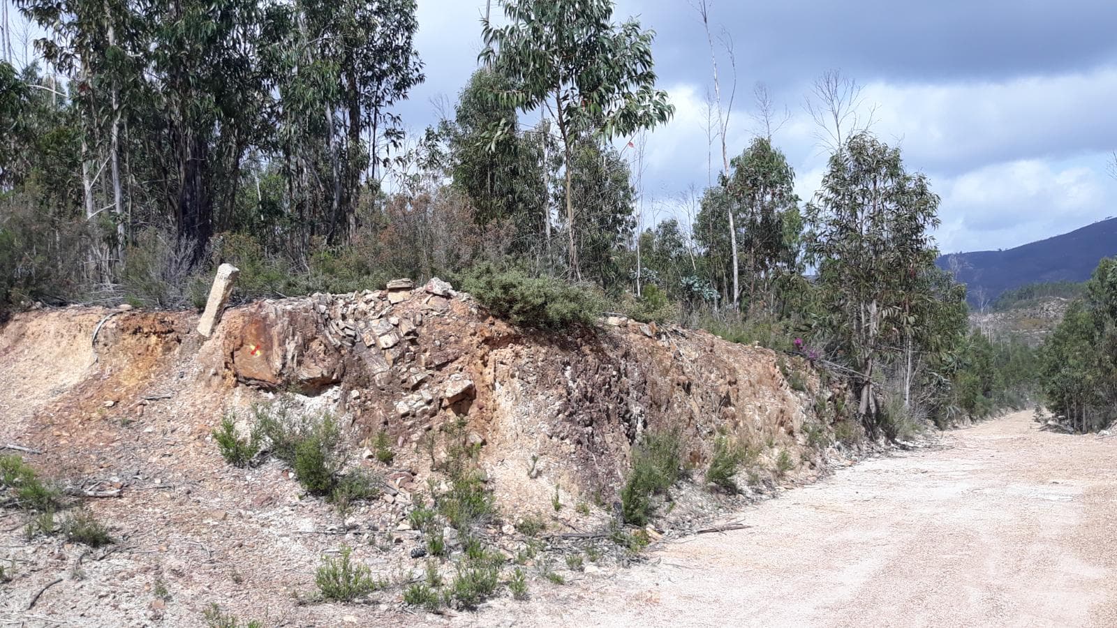 Imóveis · Mação, Santarém — image 66