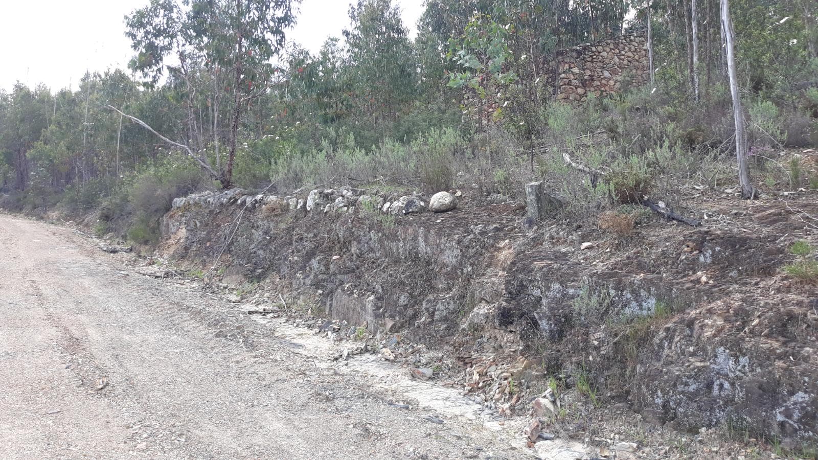 Imóveis · Mação, Santarém — image 49