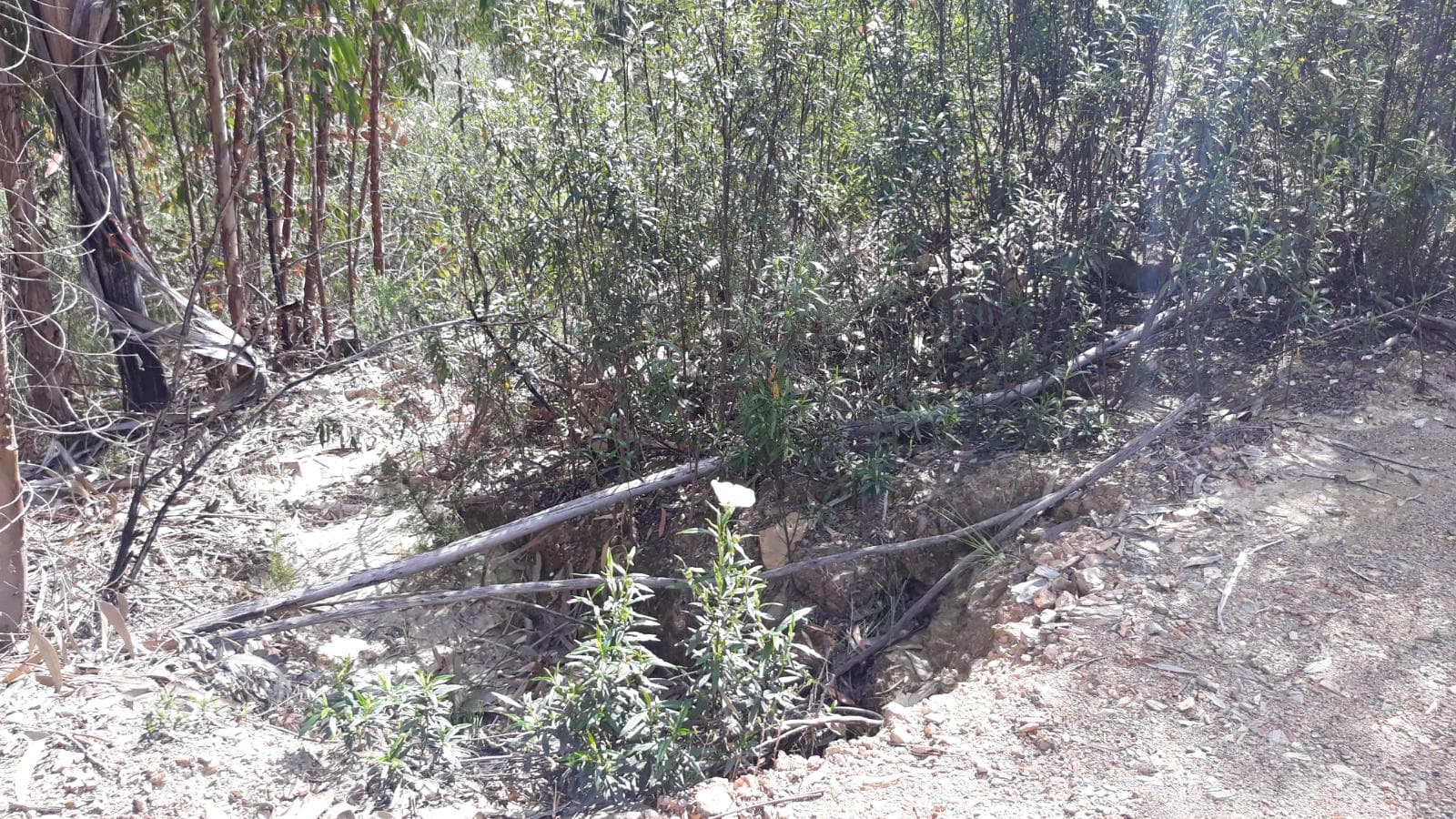 Imóveis · Mação, Santarém — image 48