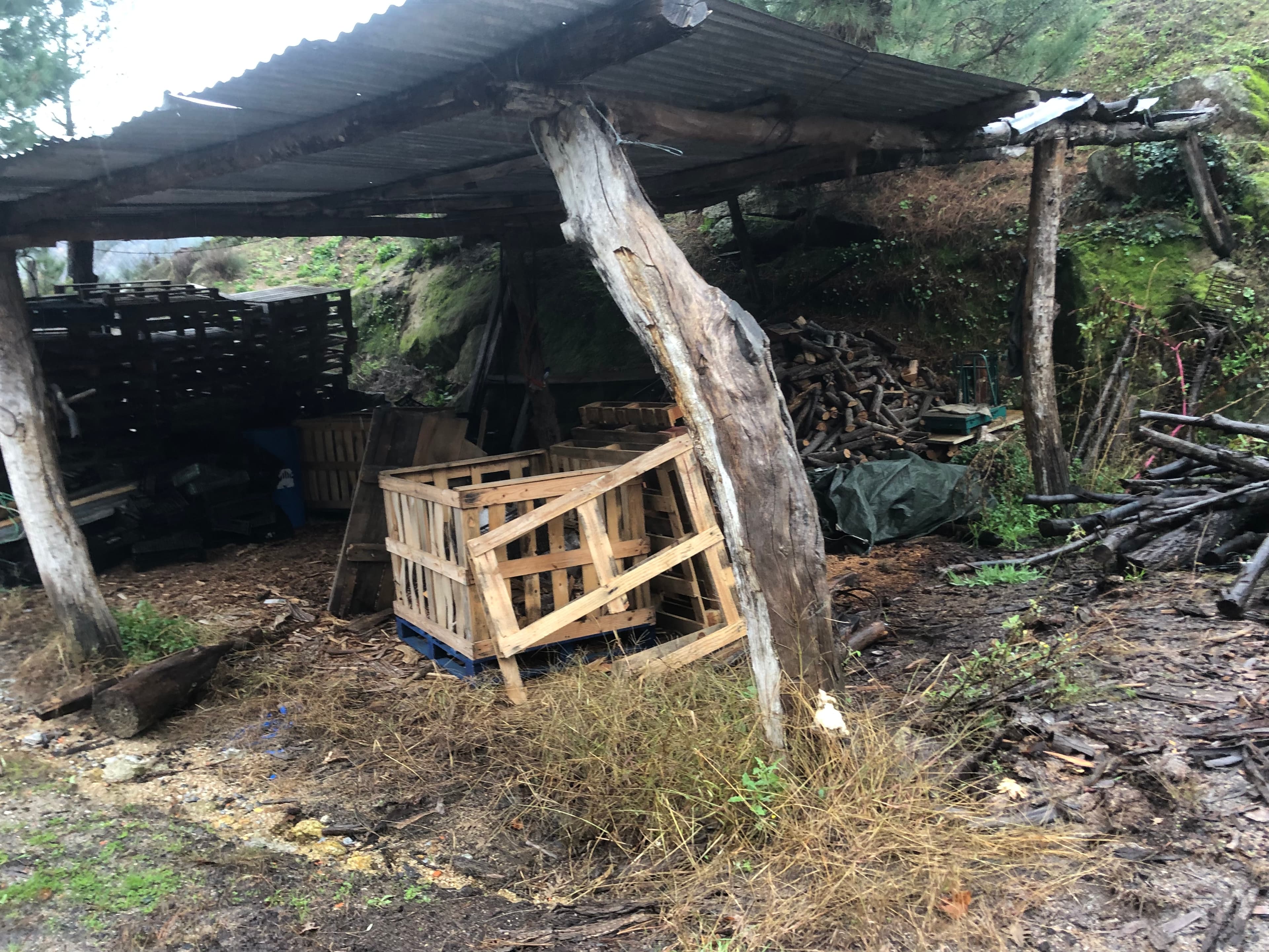 Terreno · Resende, Viseu — imagem 6