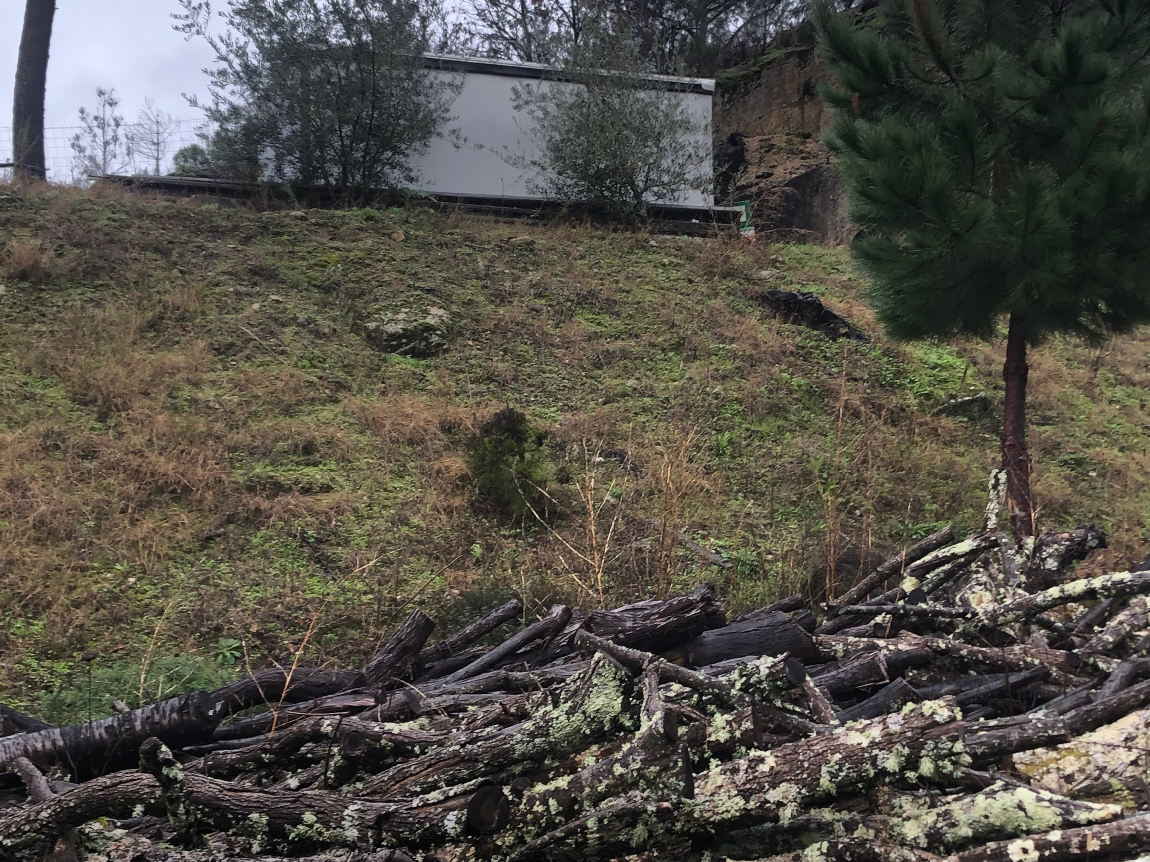 Terreno · Resende, Viseu — imagem 4