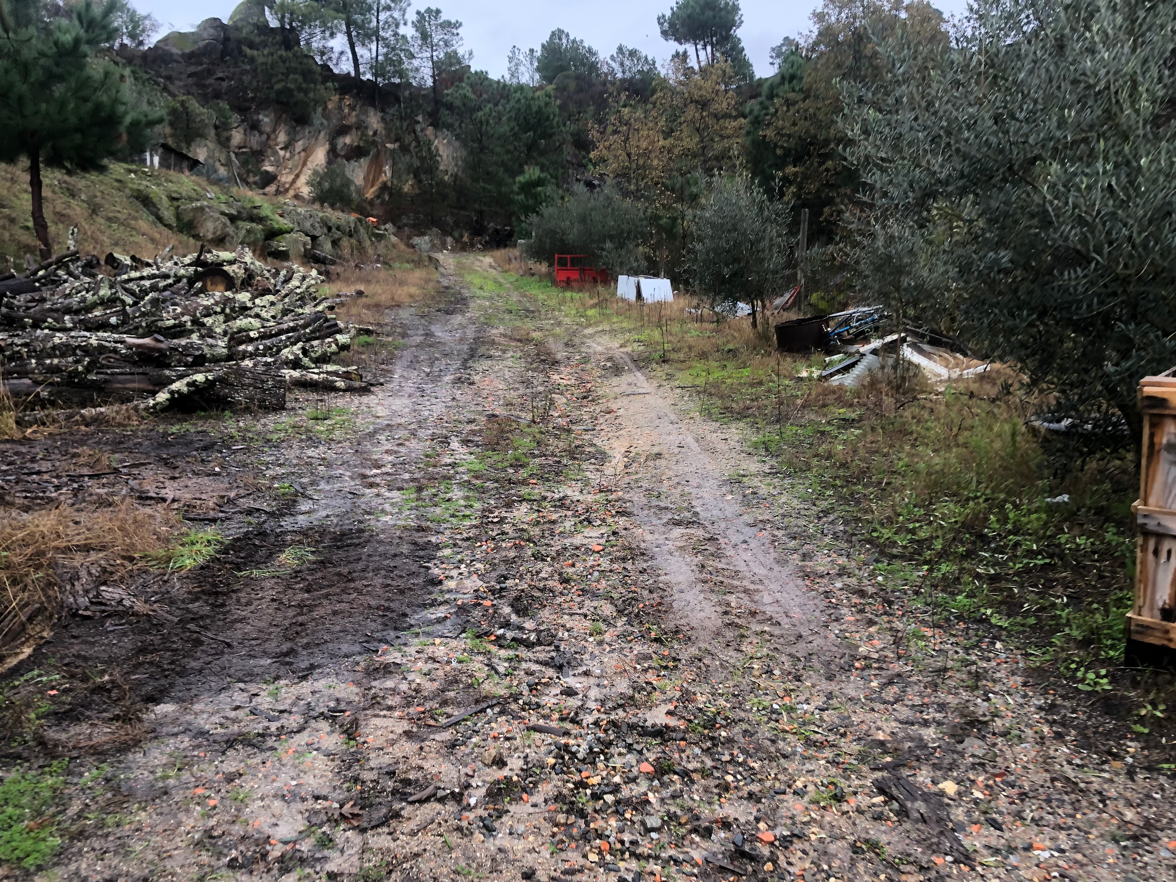 Terreno · Resende, Viseu — imagem 8