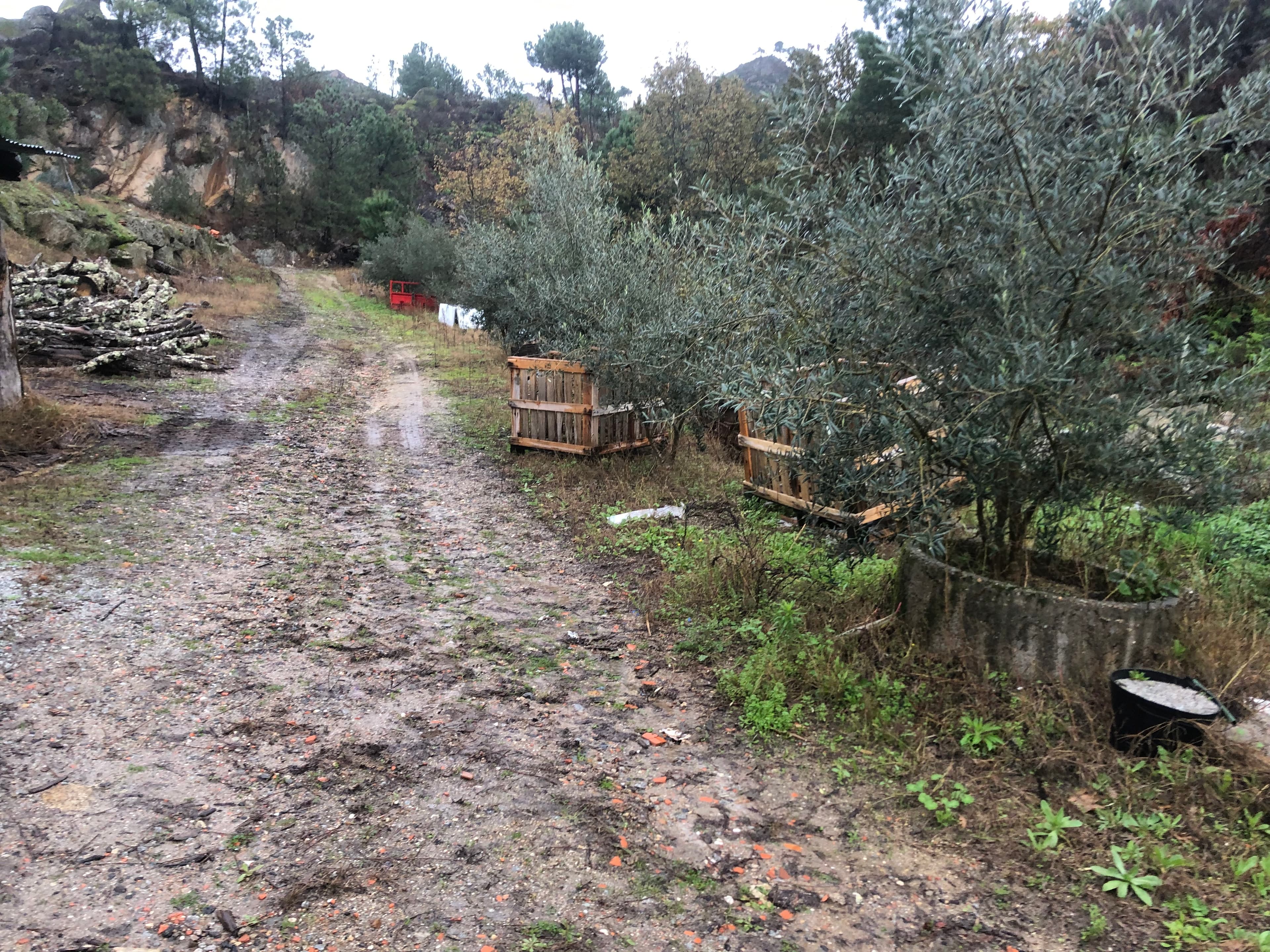 Terreno · Resende, Viseu — imagem 3