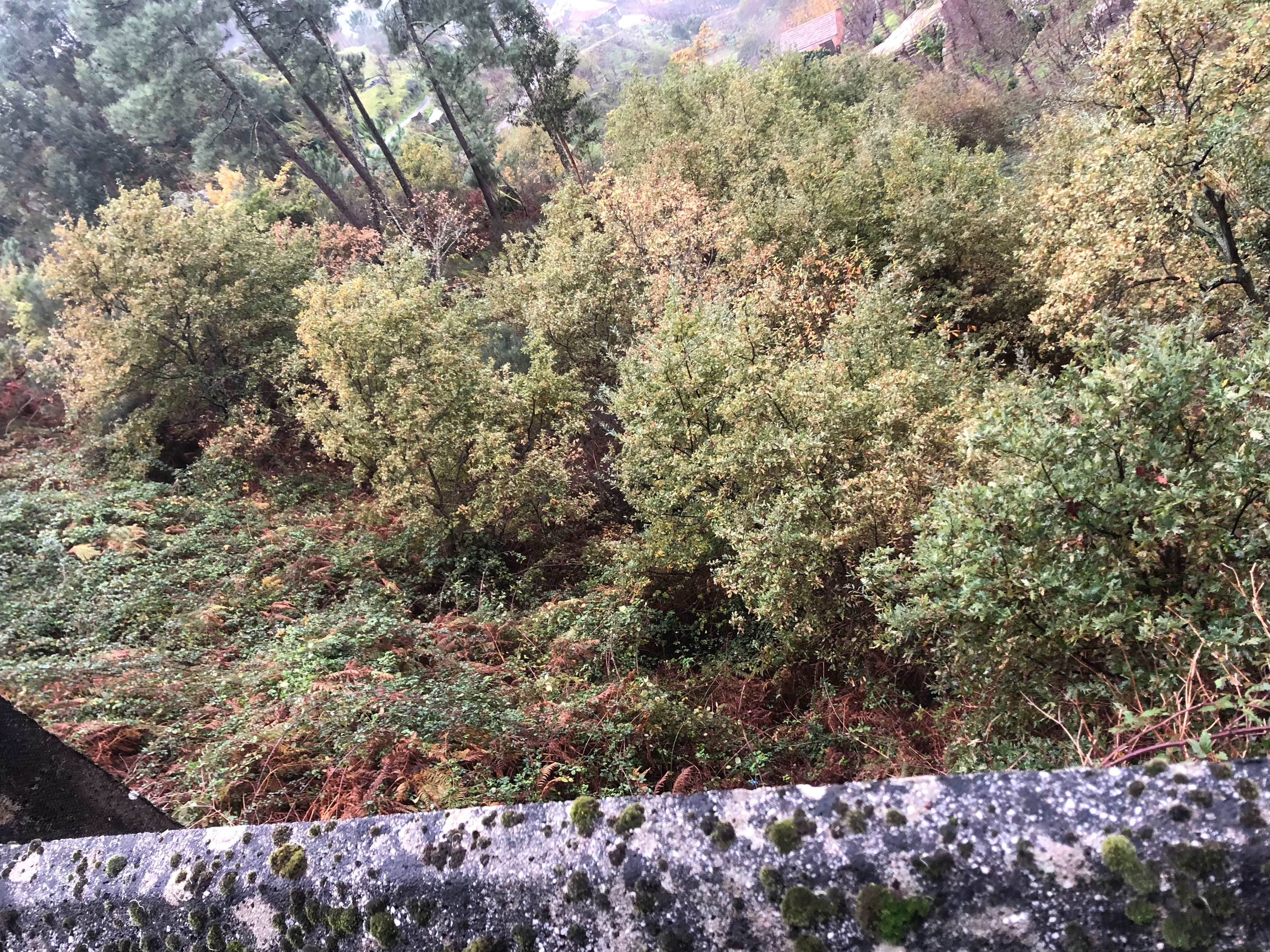 Terreno · Resende, Viseu — imagem 2