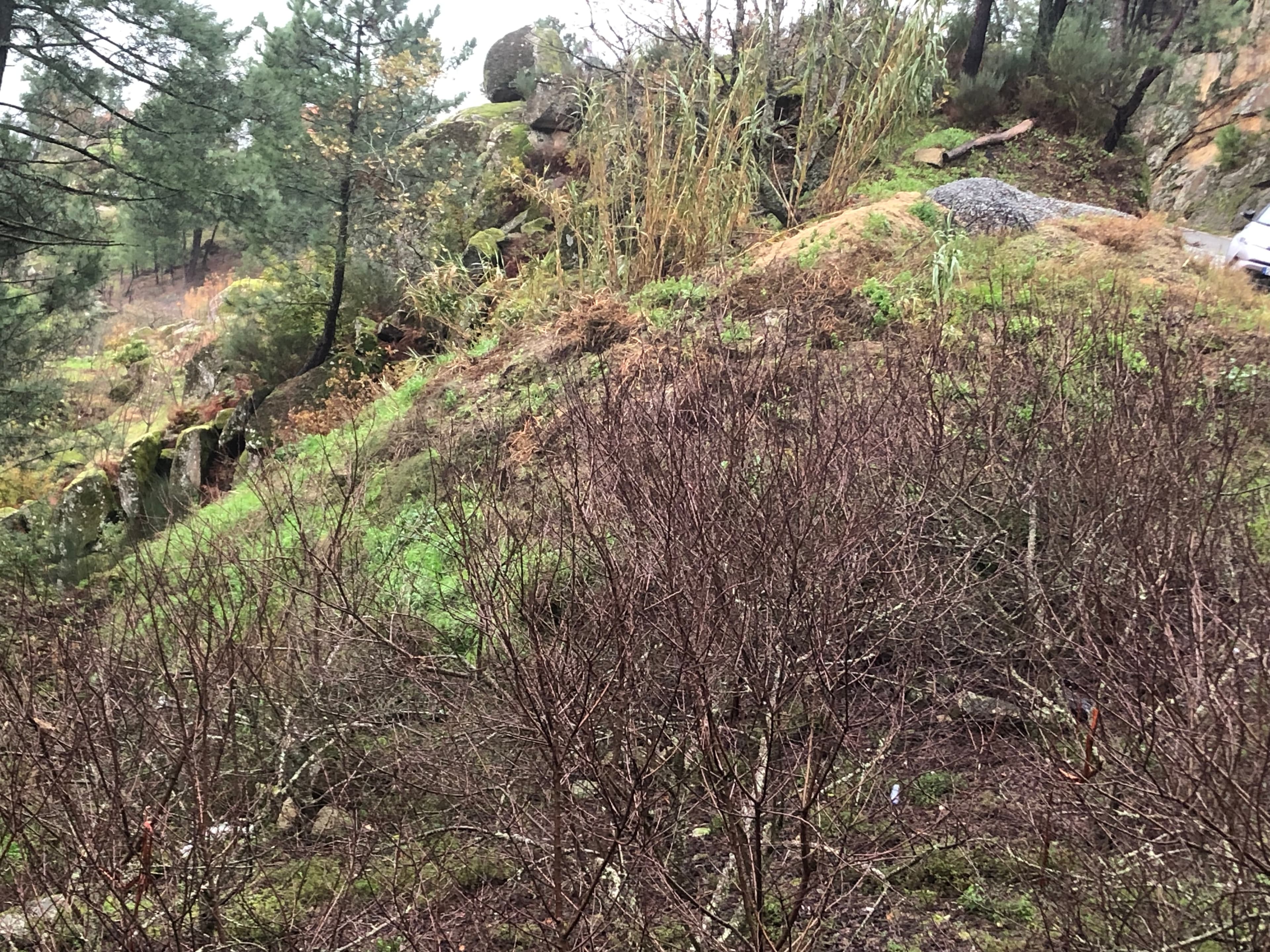 Terreno · Resende, Viseu — imagem 1