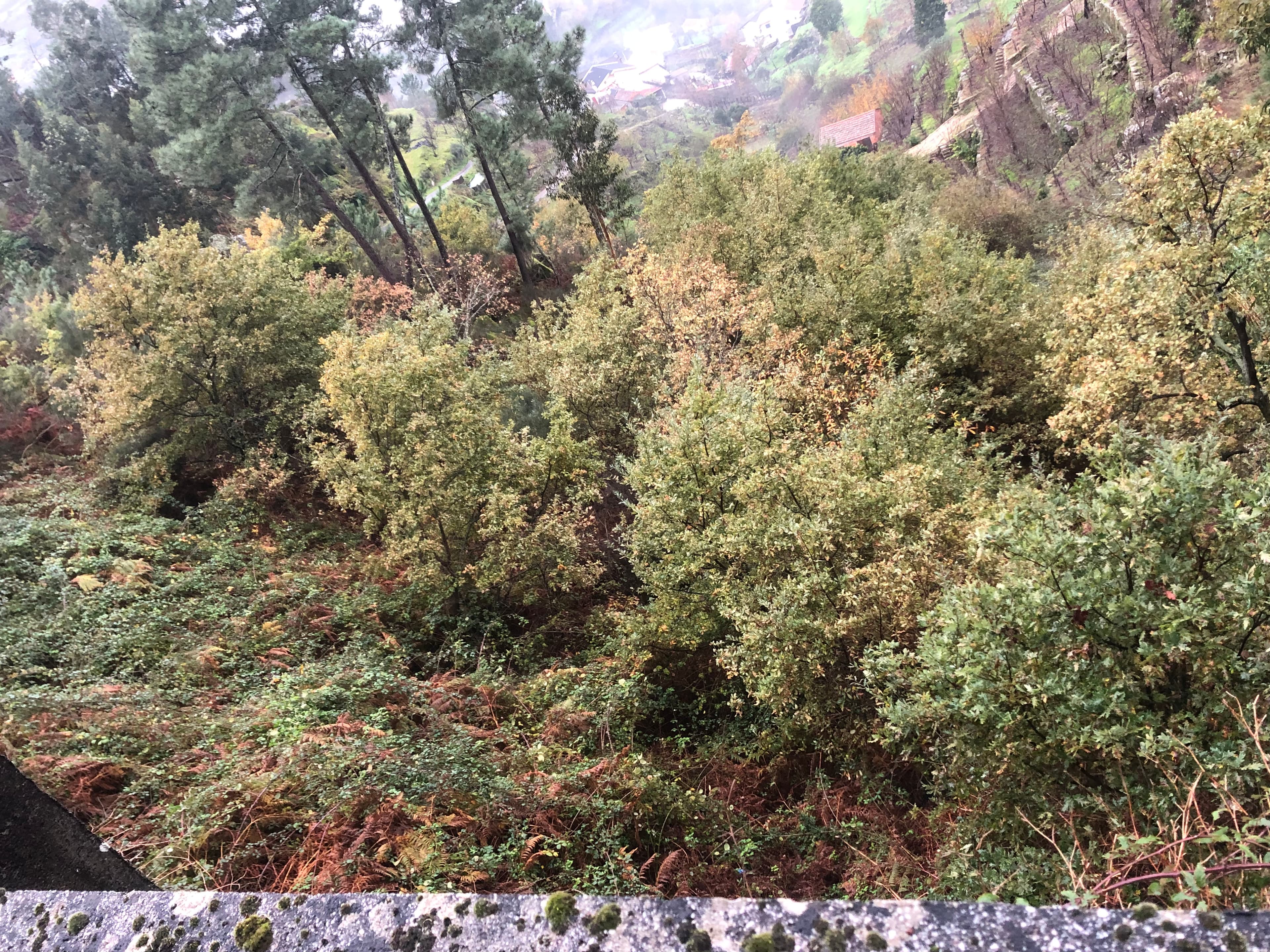 Terreno · Resende, Viseu — imagem 2