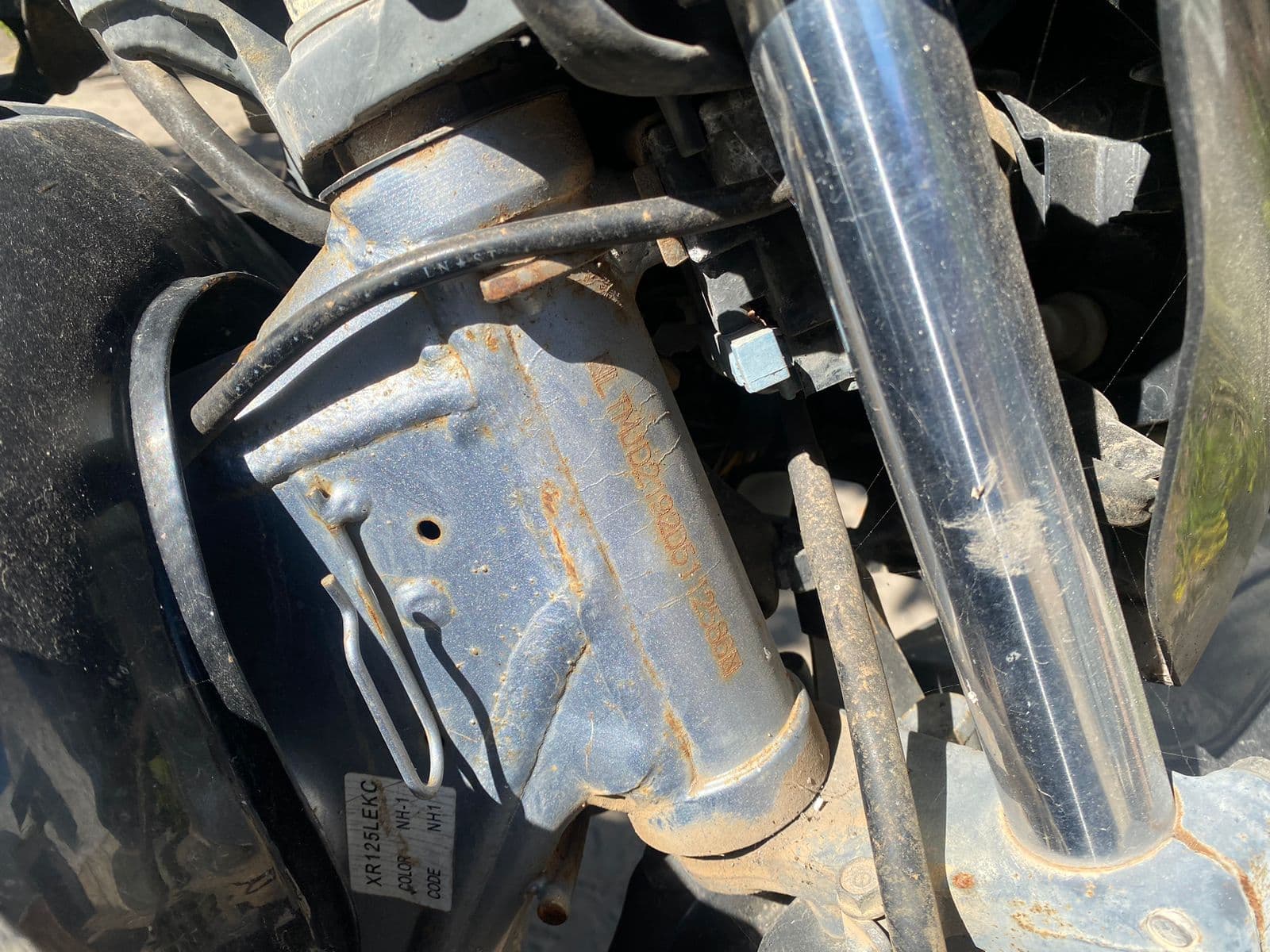 Honda XL 125 — imagen 6